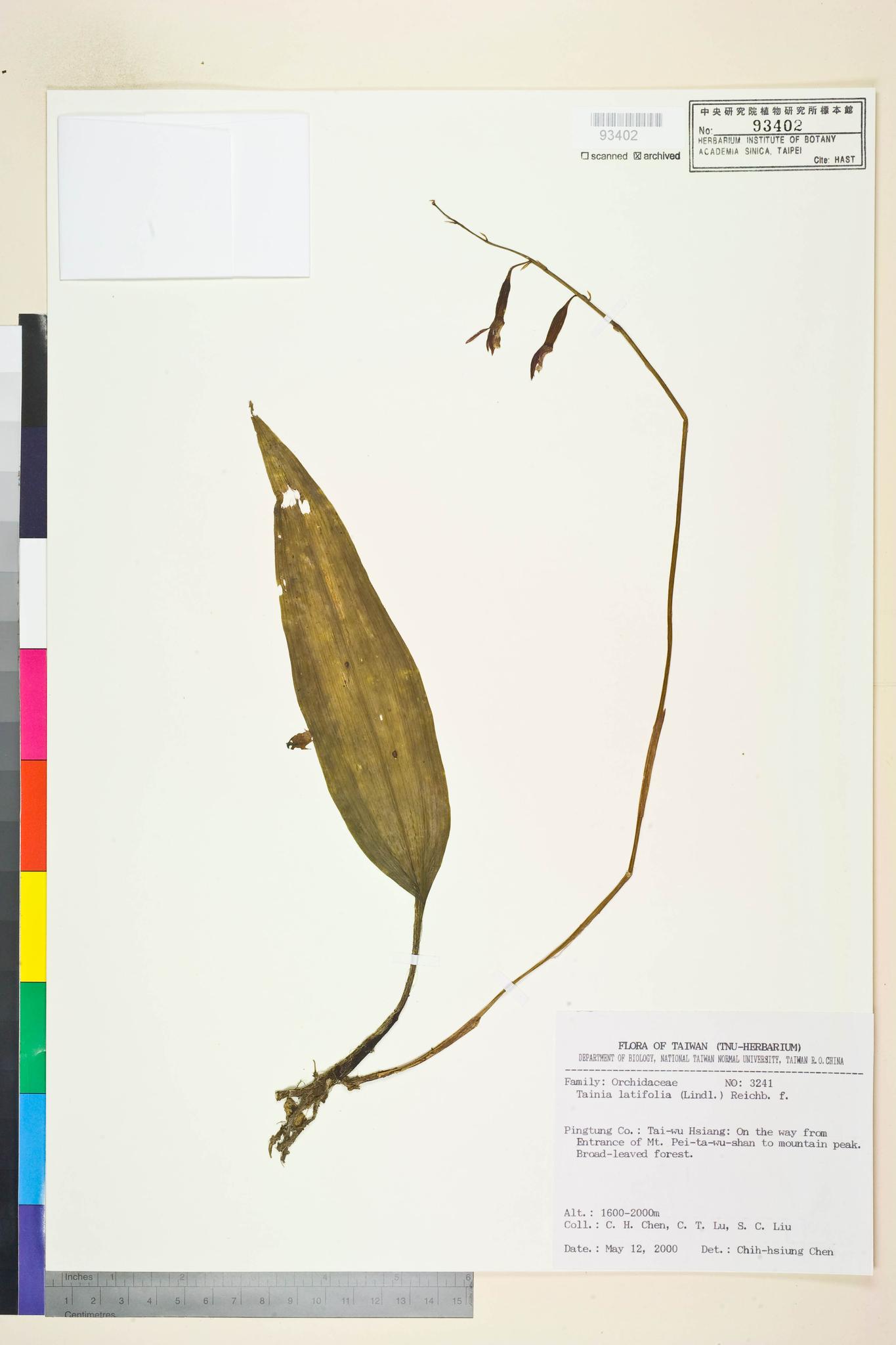 Sample image for viewer