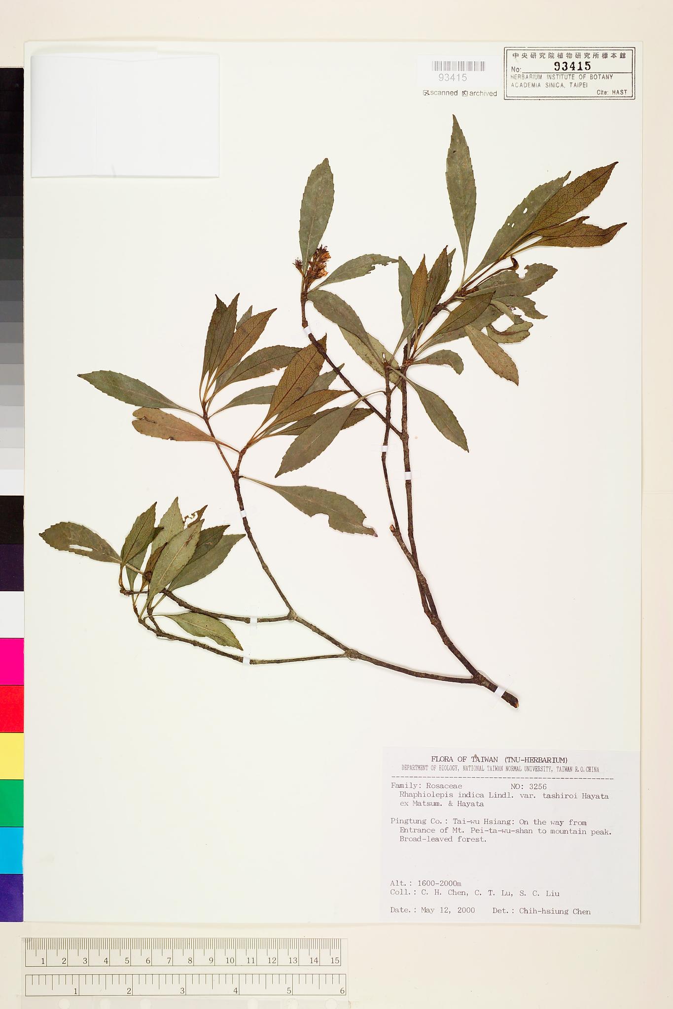 Sample image for viewer