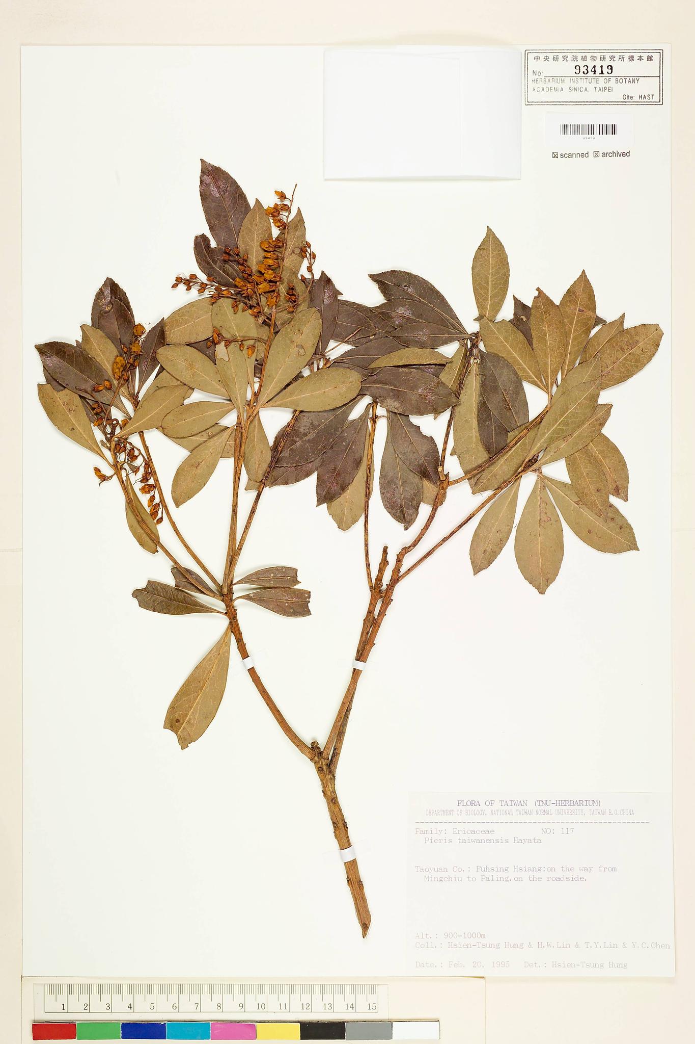 Sample image for viewer