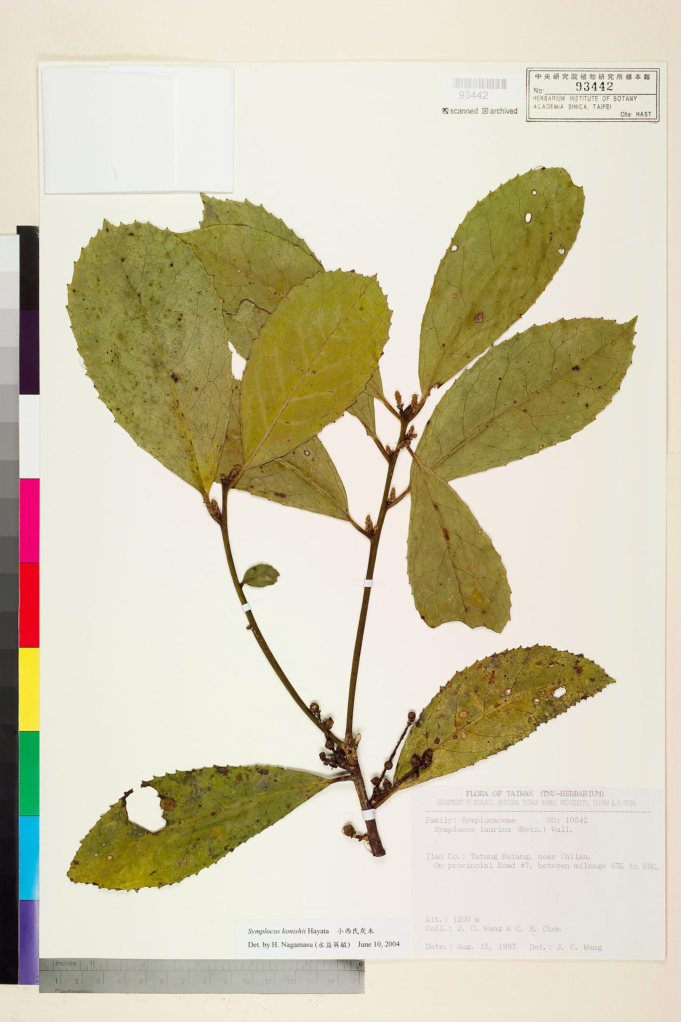 Sample image for viewer