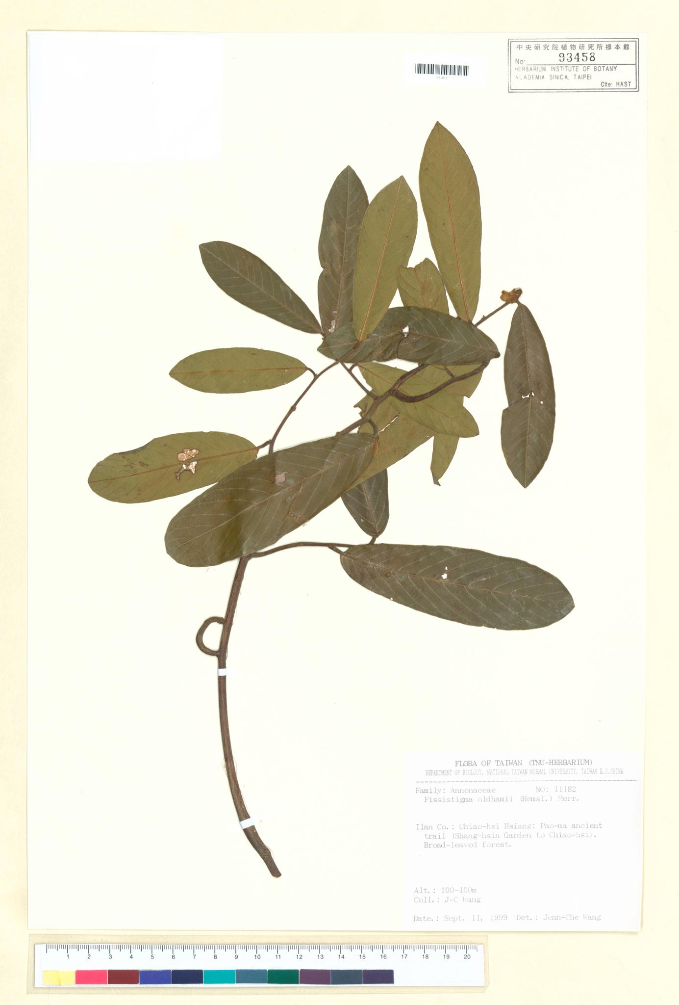 Sample image for viewer