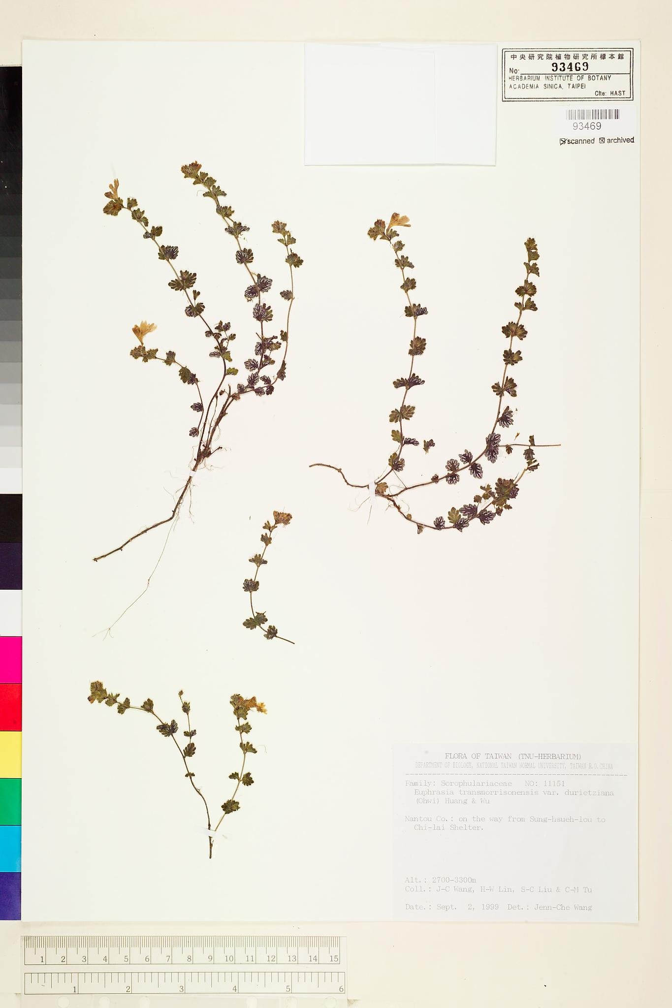 Sample image for viewer