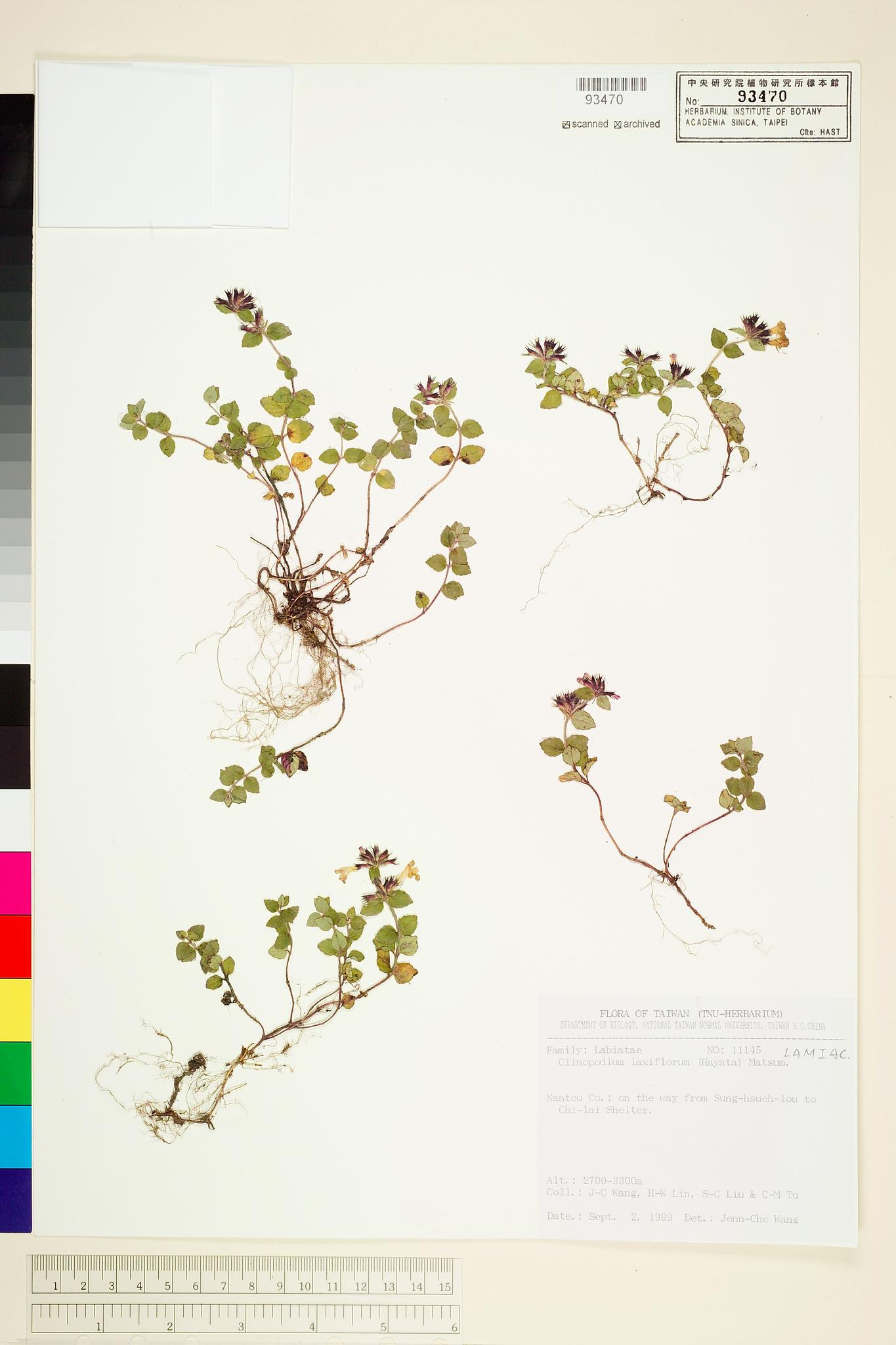 Sample image for viewer