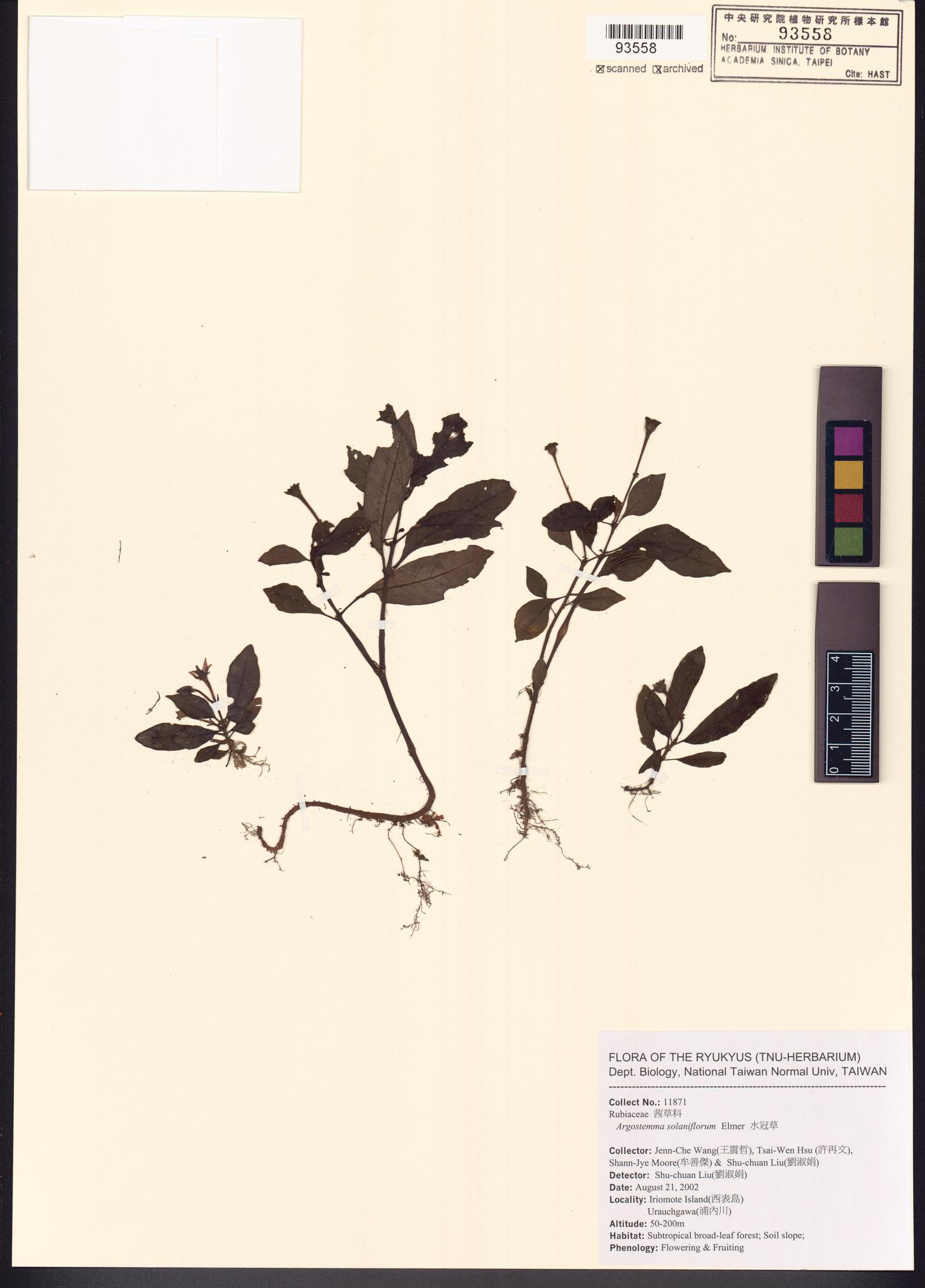 Sample image for viewer