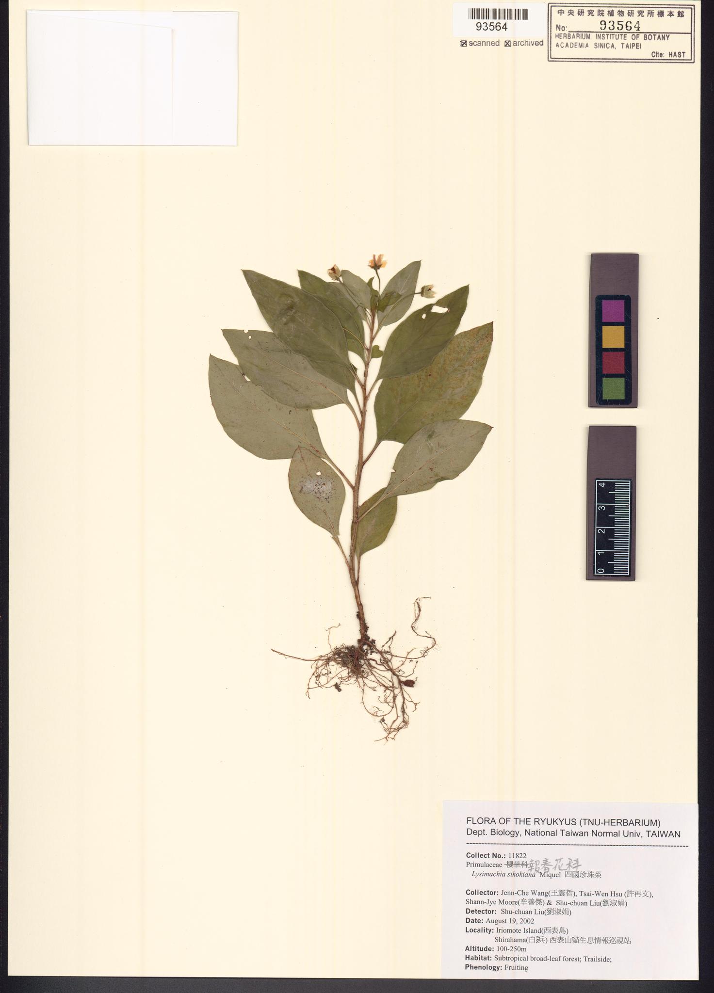 Sample image for viewer