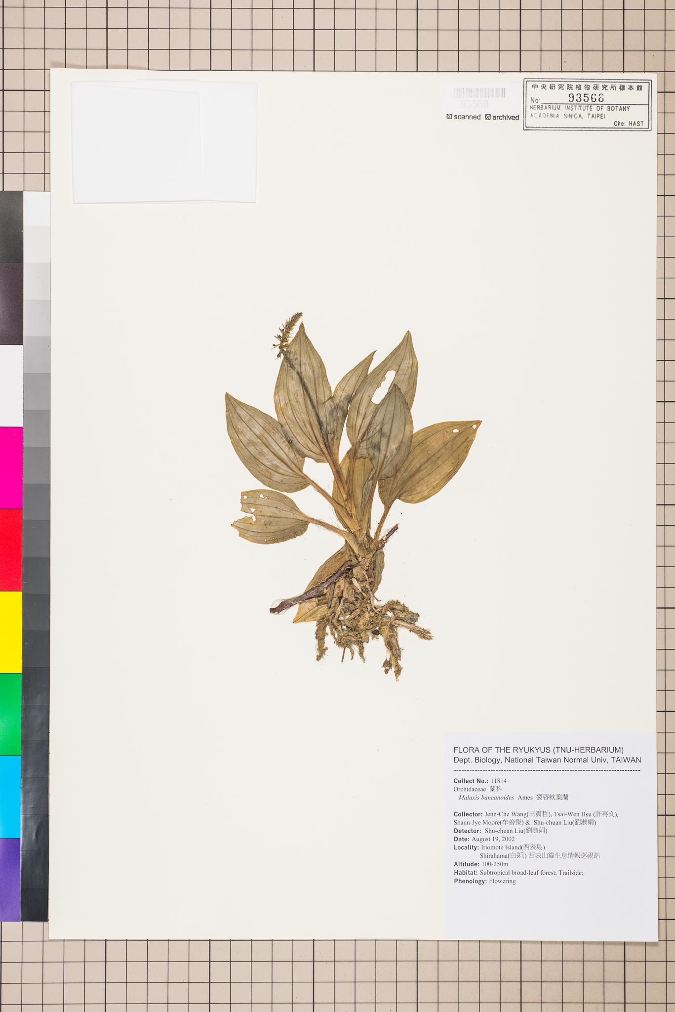 Sample image for viewer