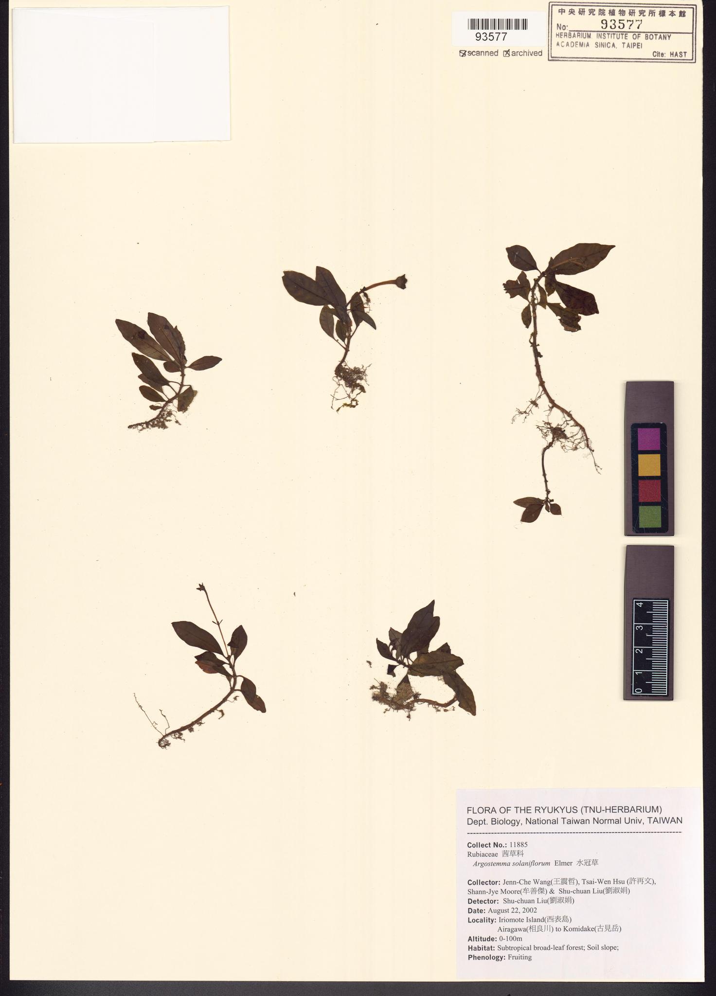 Sample image for viewer