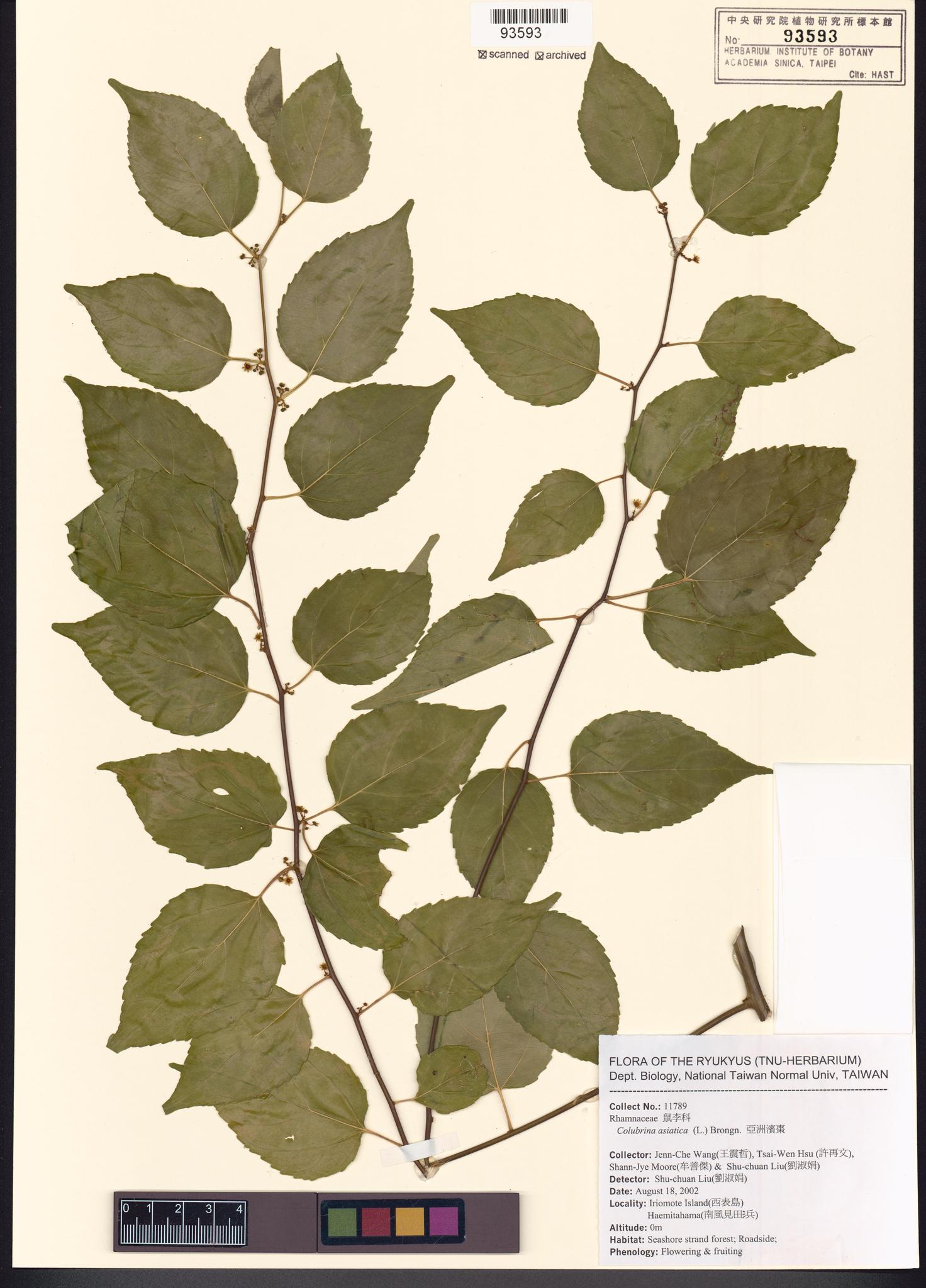 Sample image for viewer