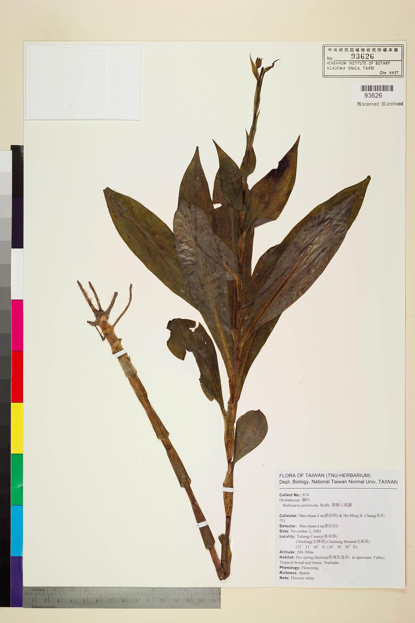 Sample image for viewer