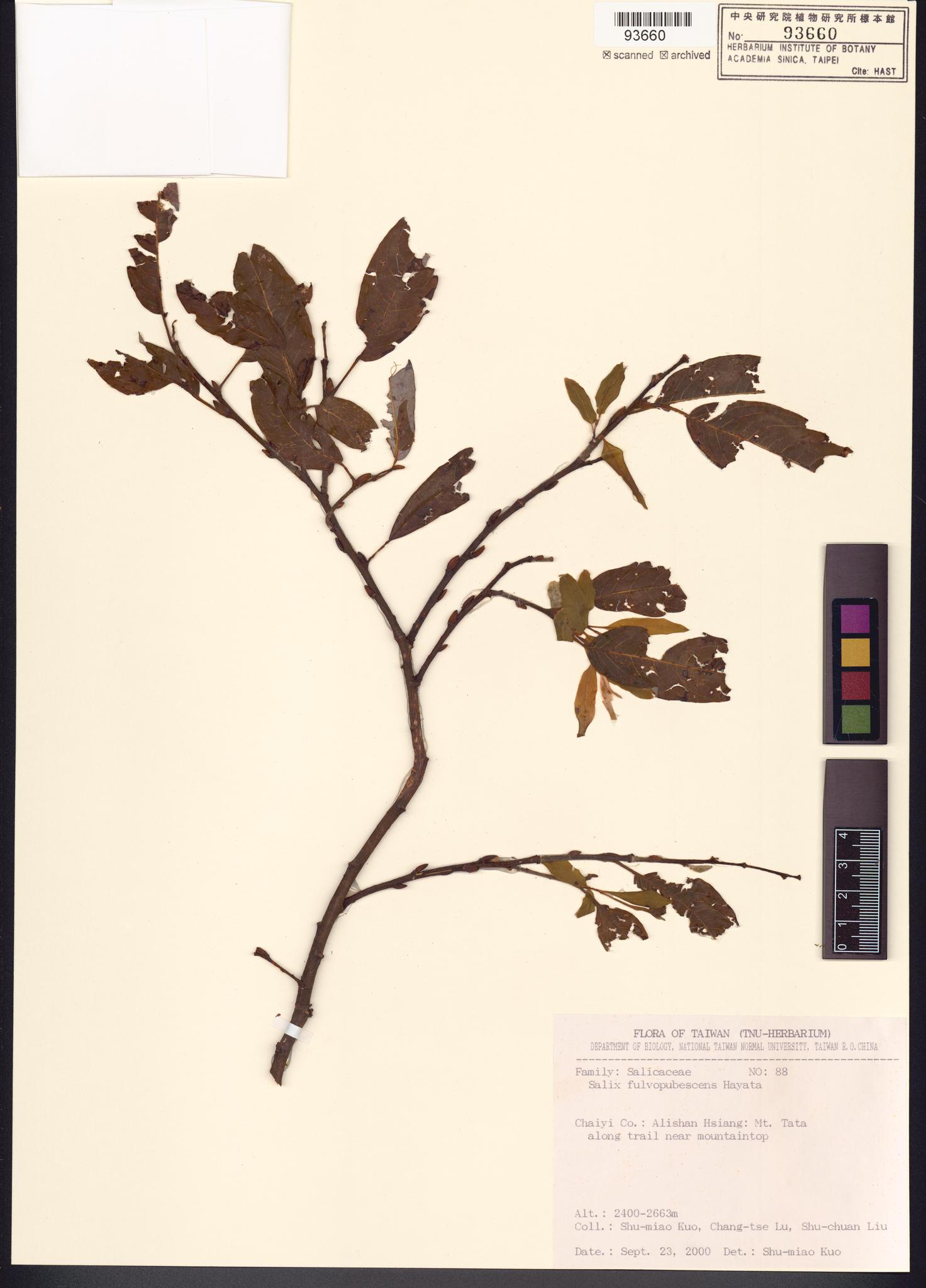 Sample image for viewer