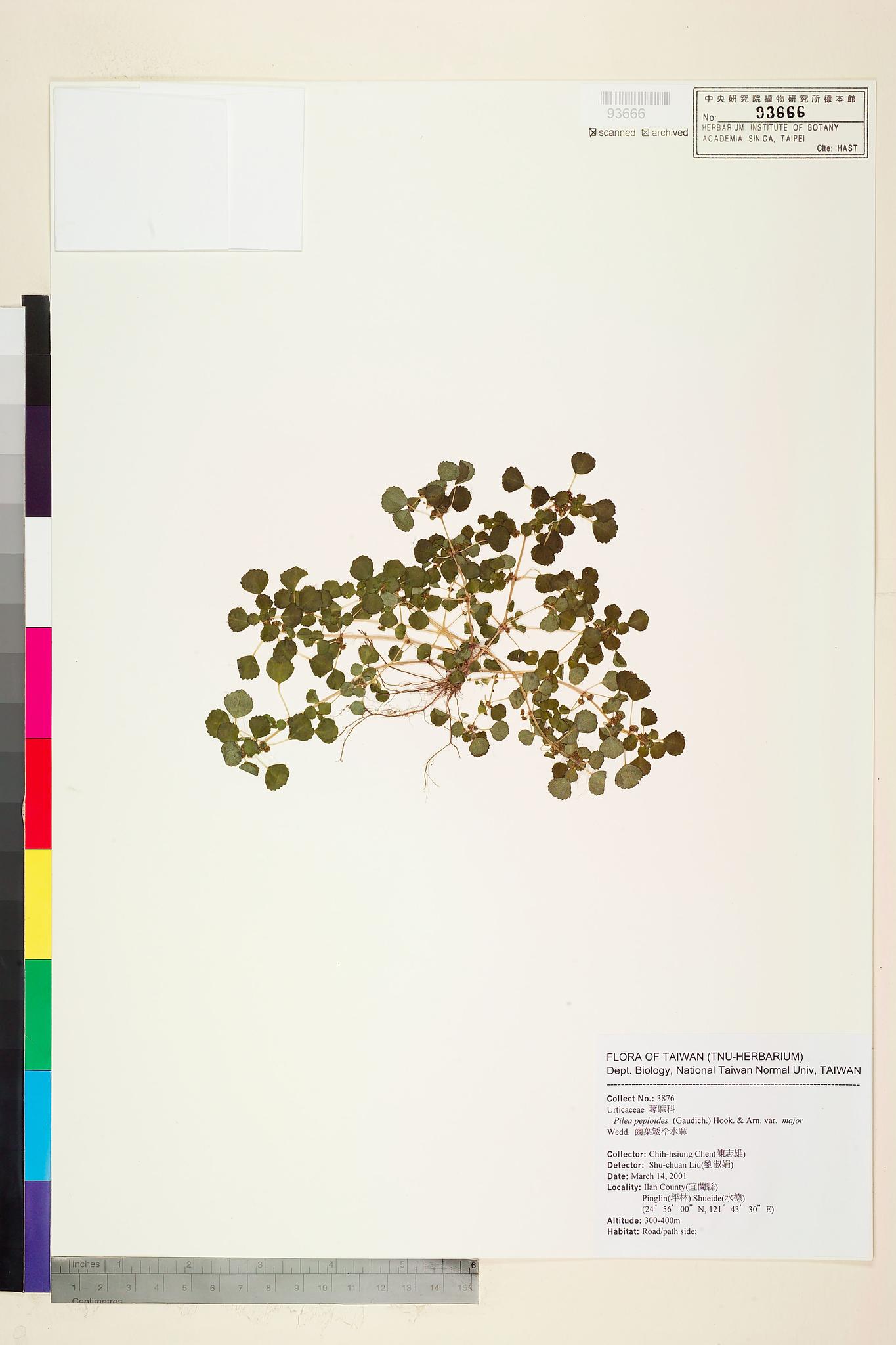 Sample image for viewer