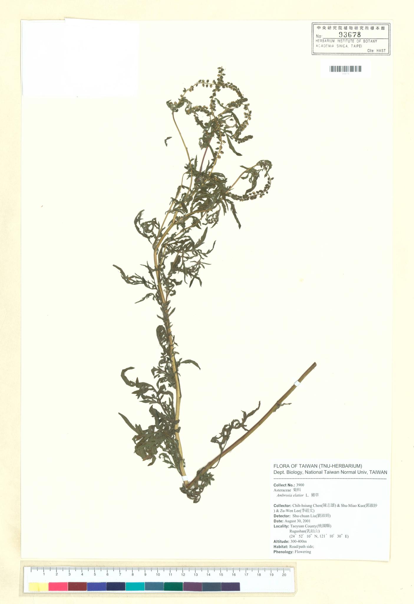 Sample image for viewer