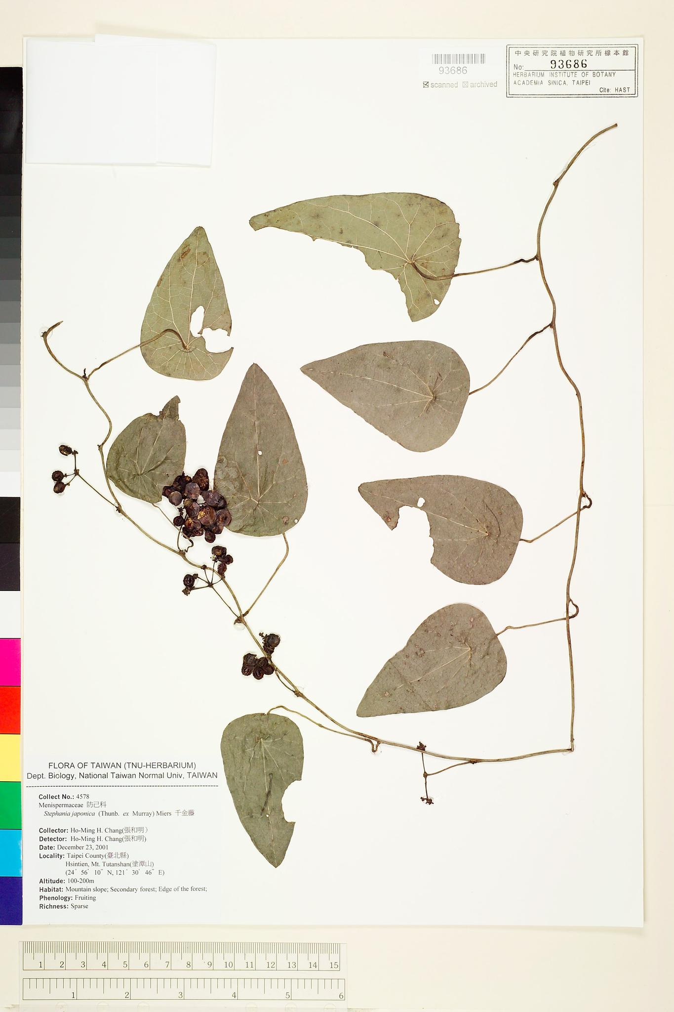 Sample image for viewer