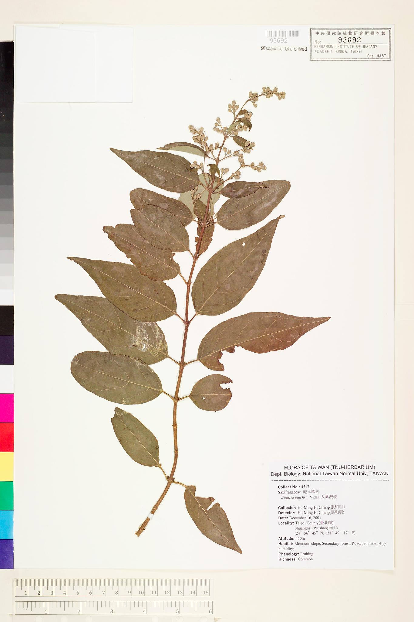 Sample image for viewer