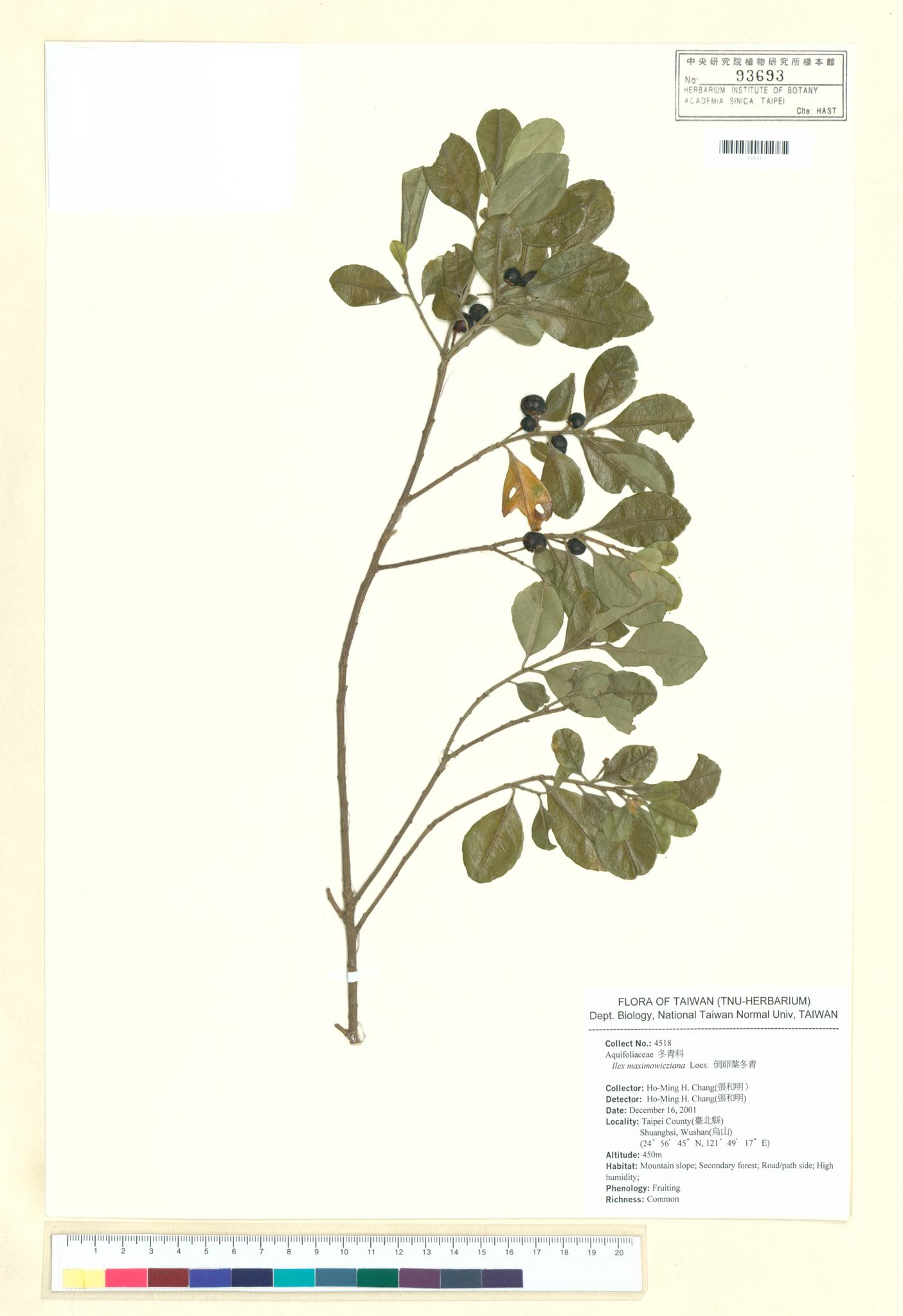 Sample image for viewer