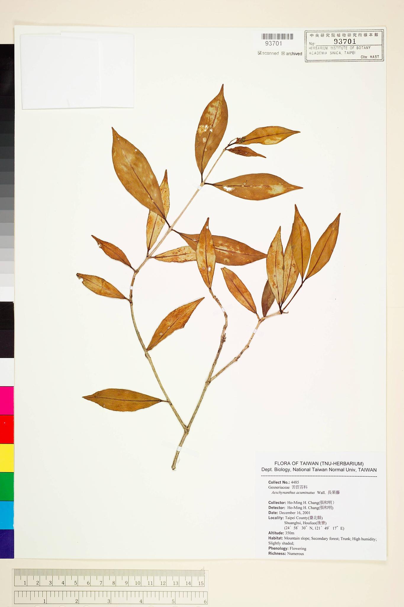 Sample image for viewer