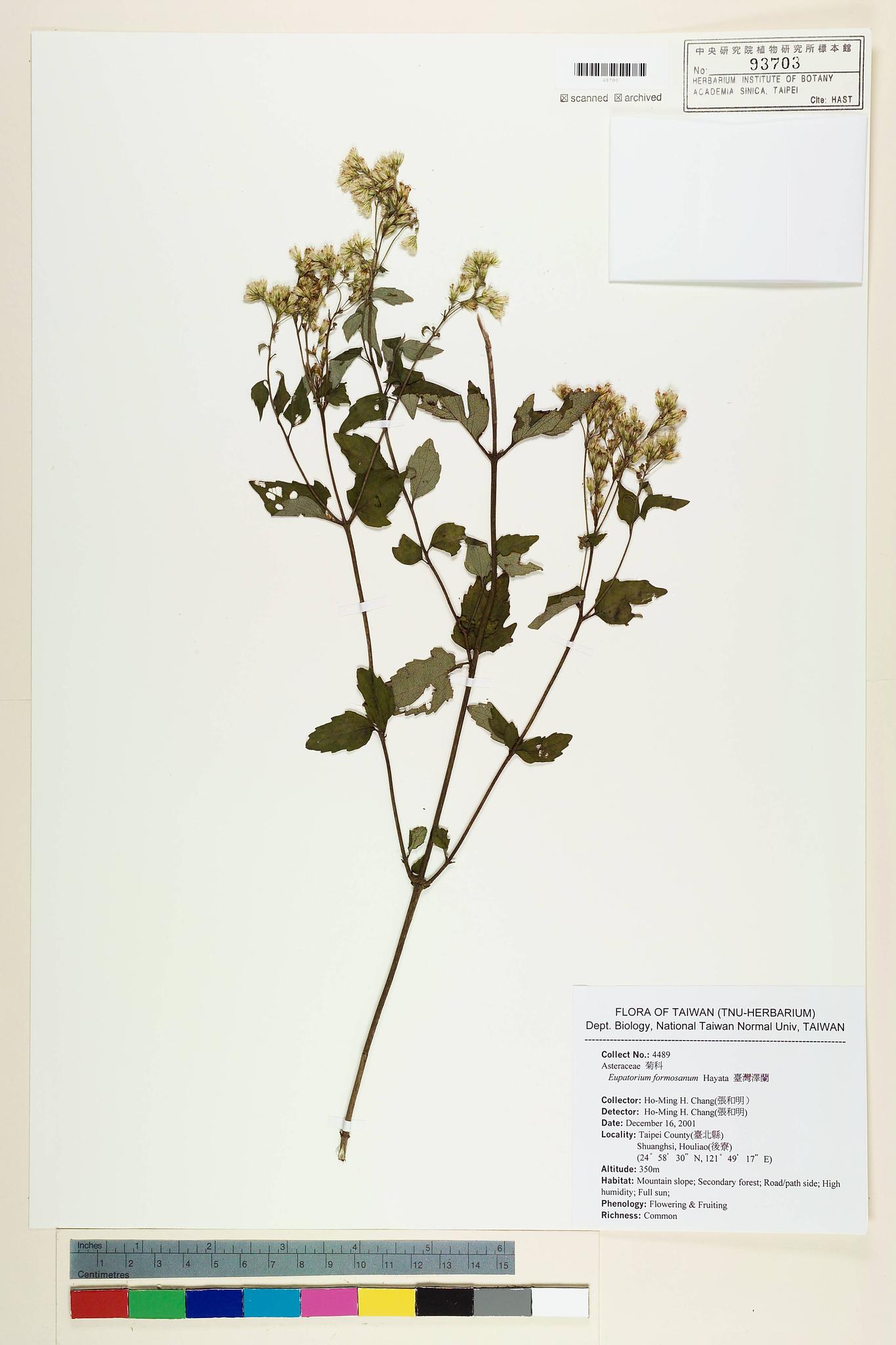 Sample image for viewer