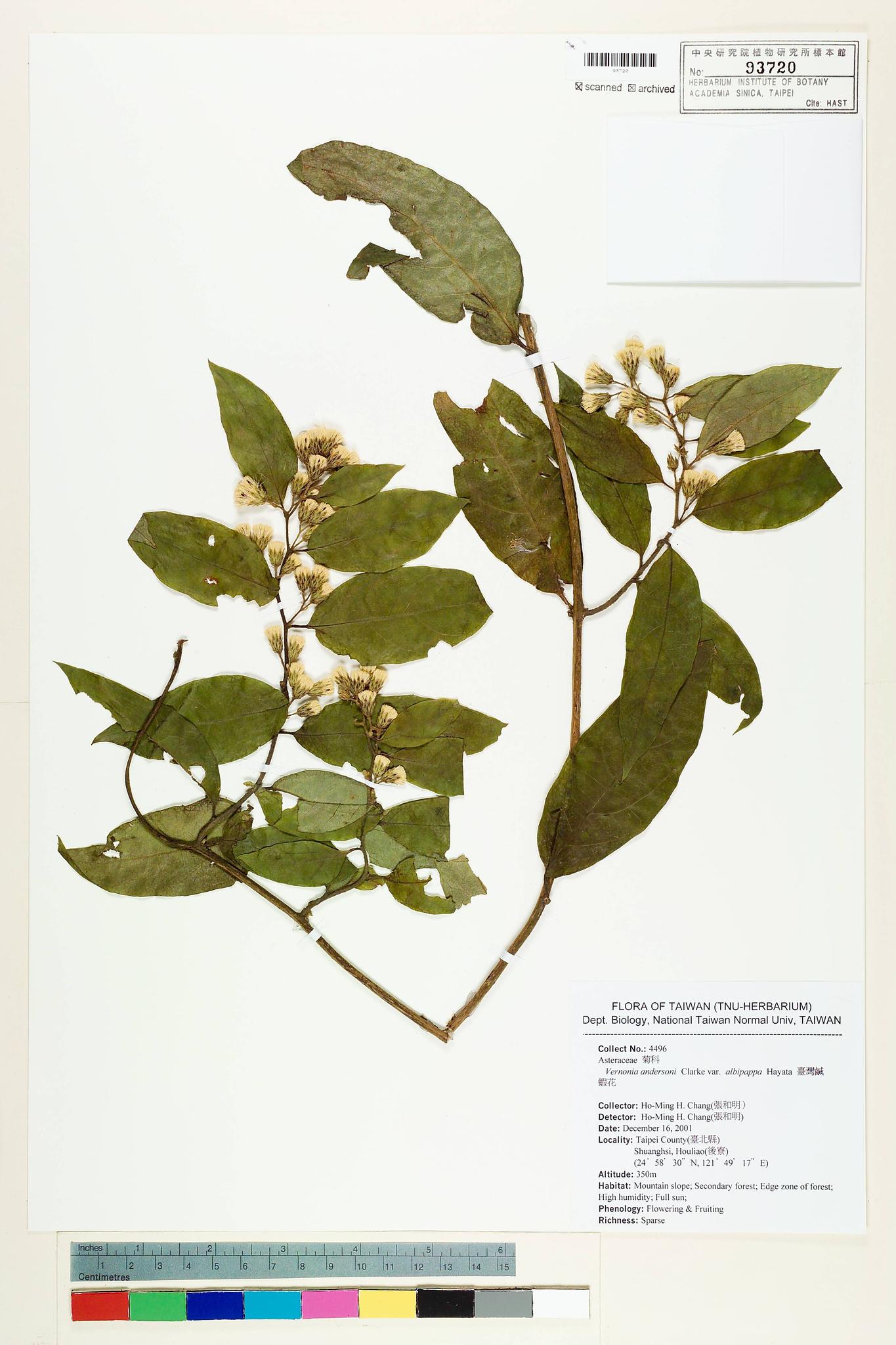 Sample image for viewer