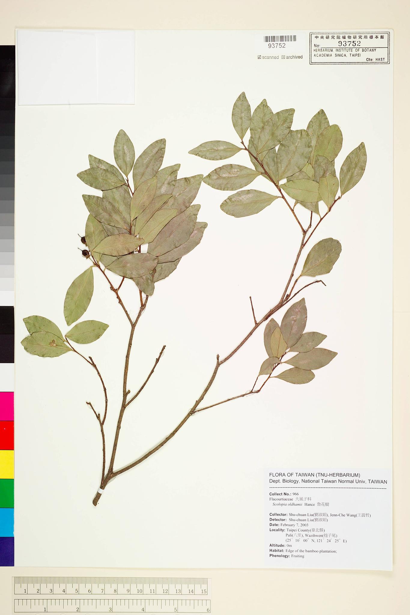 Sample image for viewer