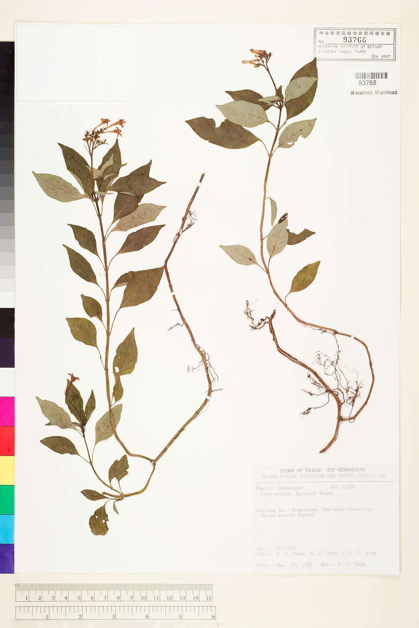 Sample image for viewer