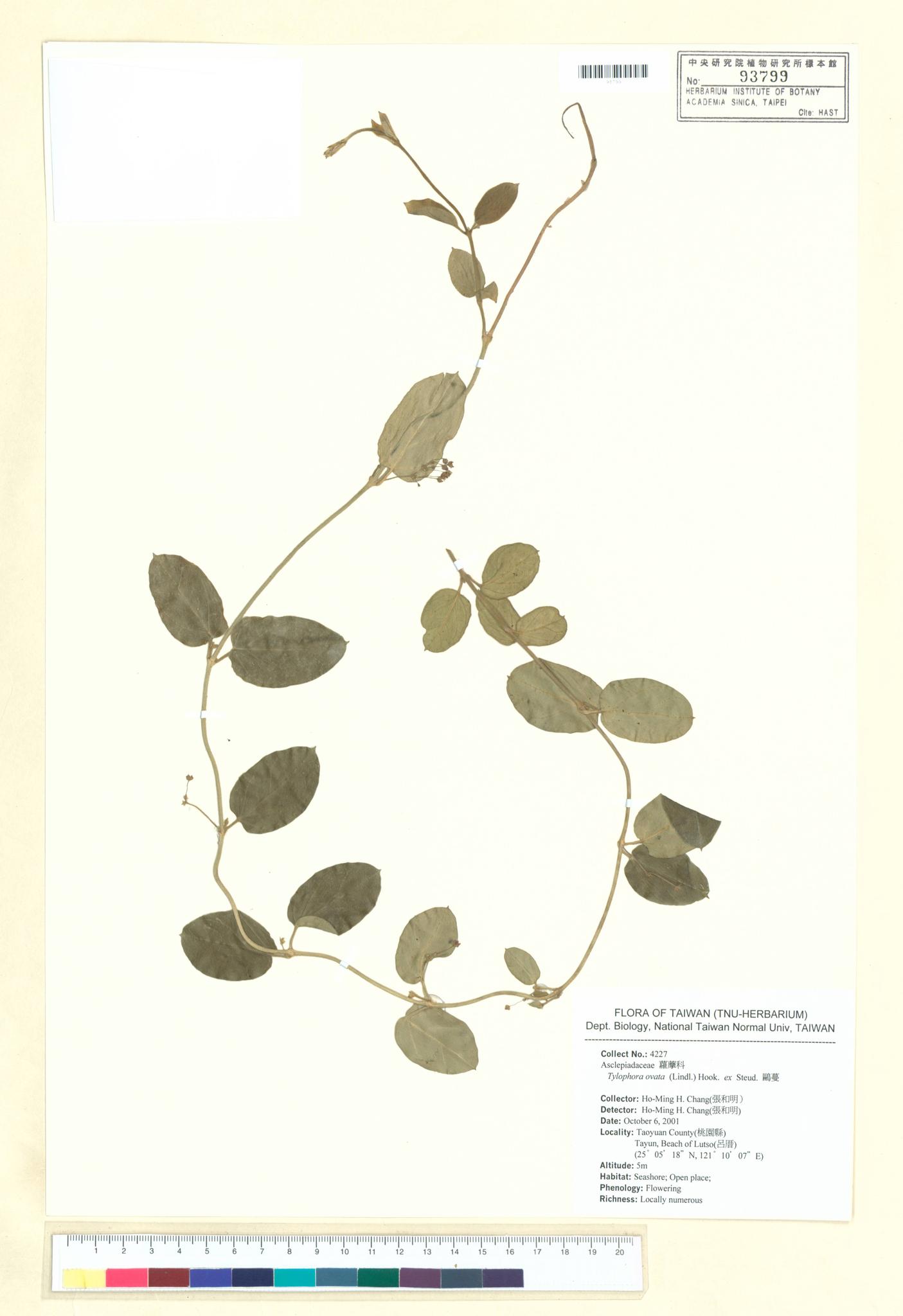 Sample image for viewer