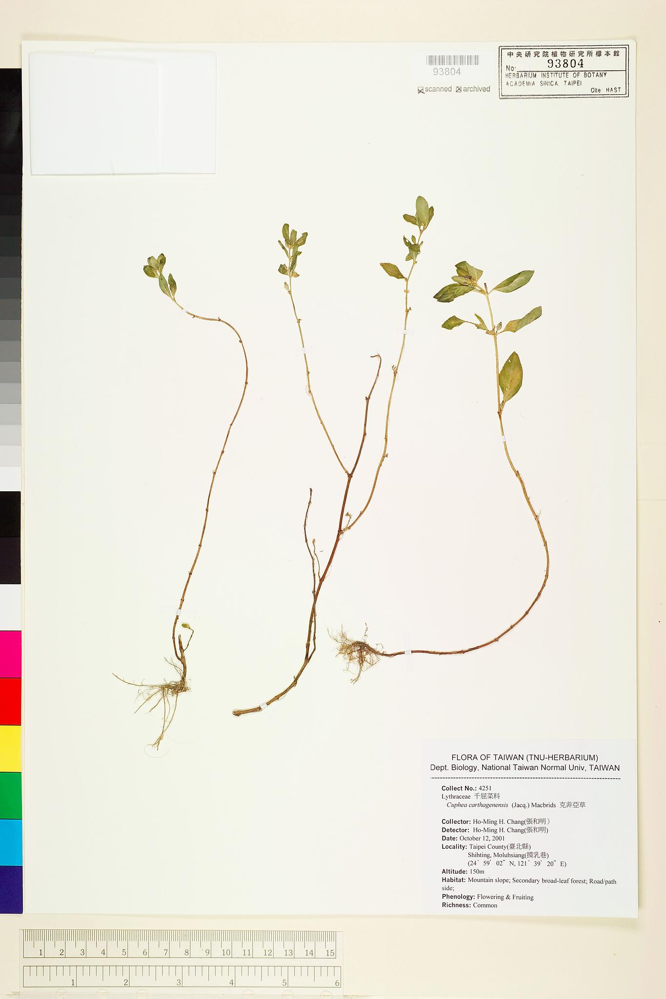 Specimen image