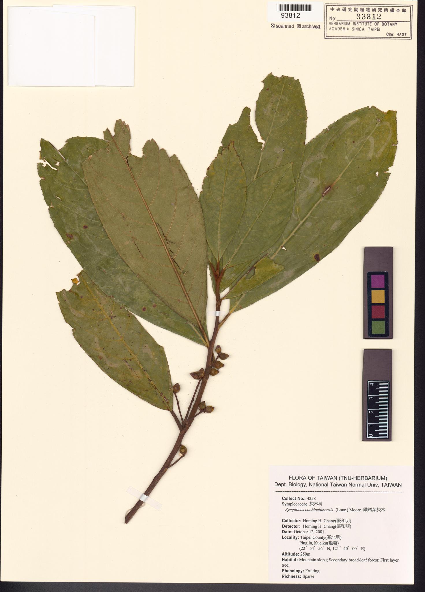 Sample image for viewer