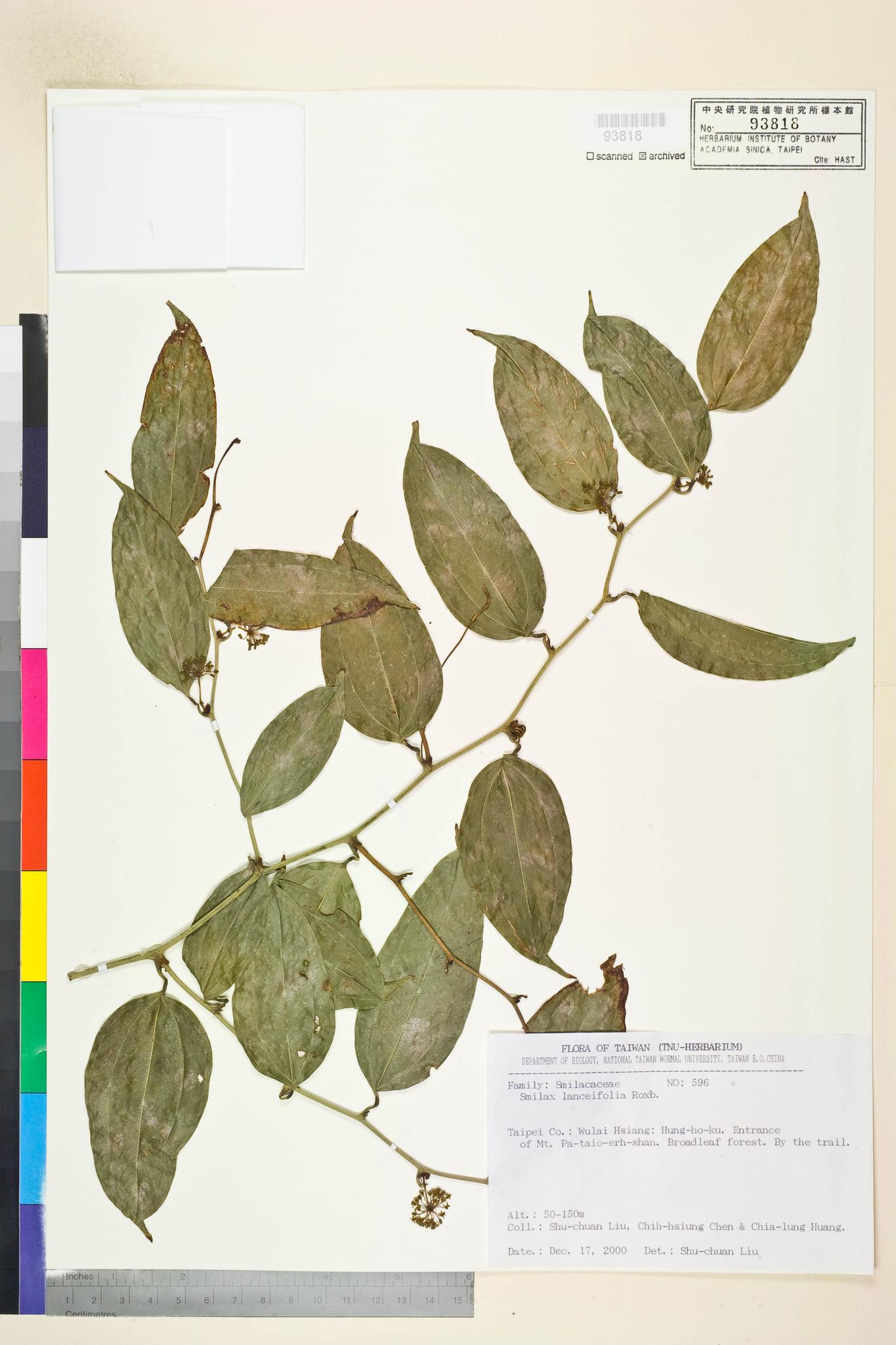 Sample image for viewer