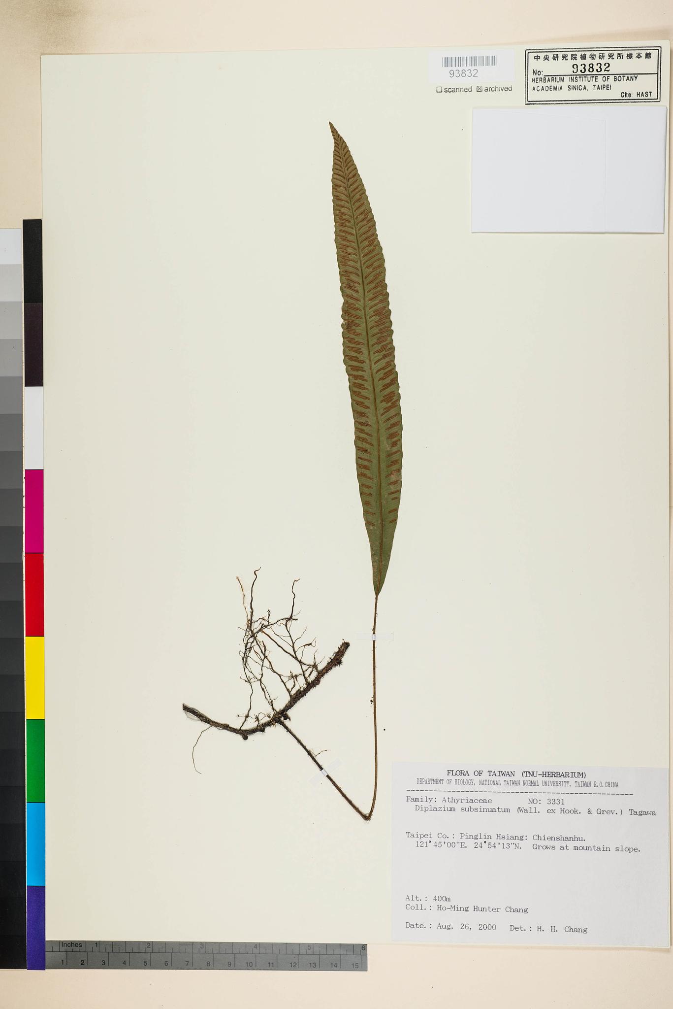 Sample image for viewer