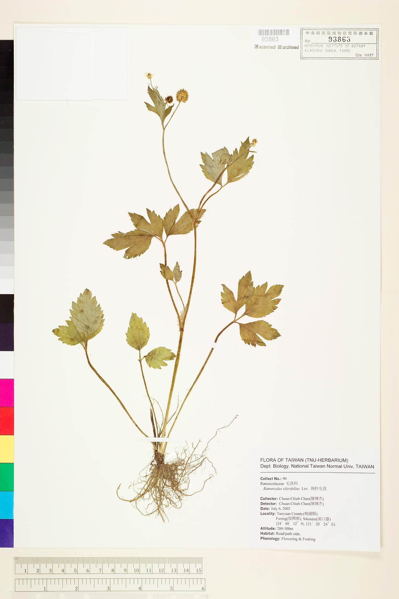 Sample image for viewer