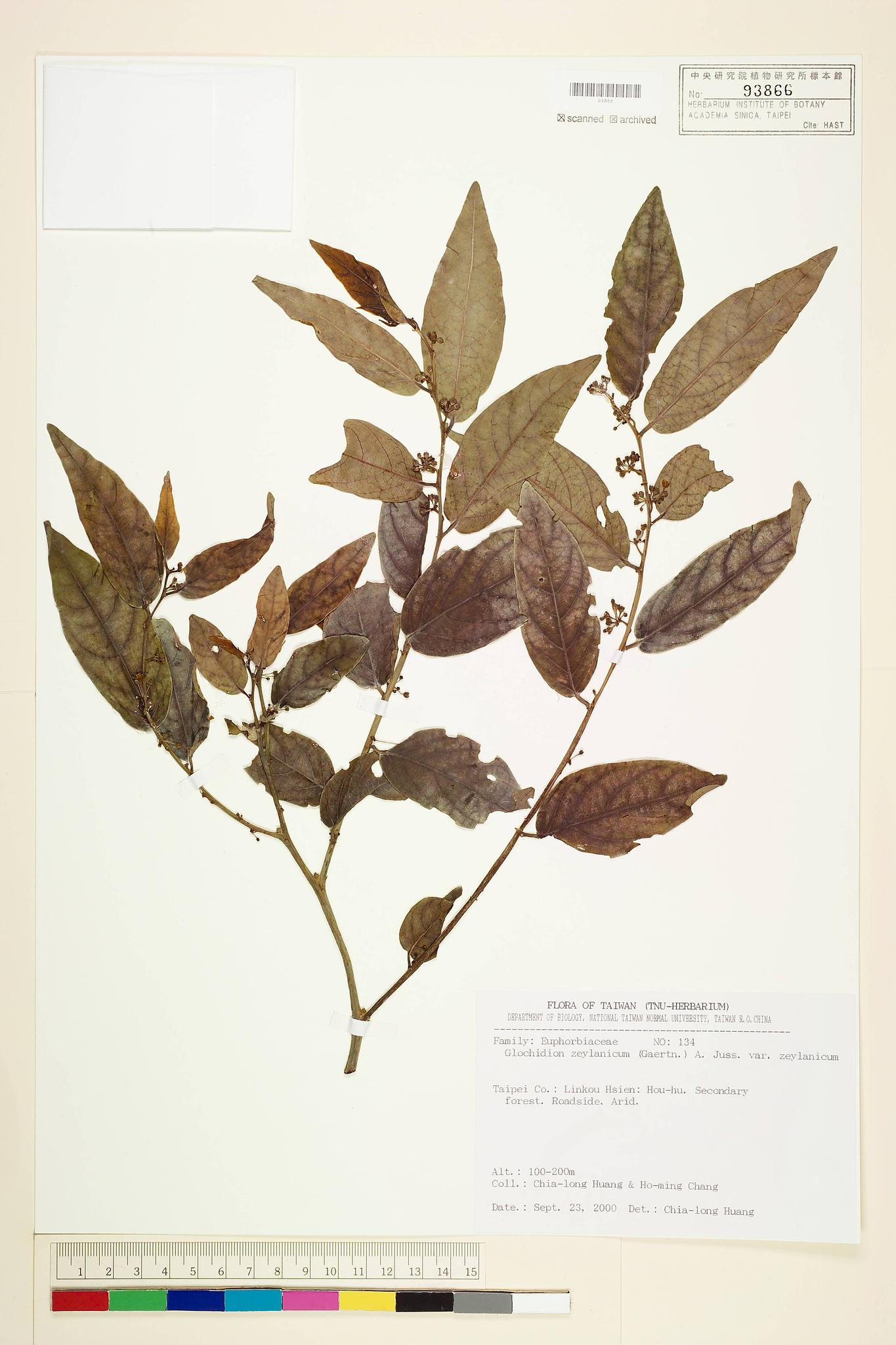 Sample image for viewer