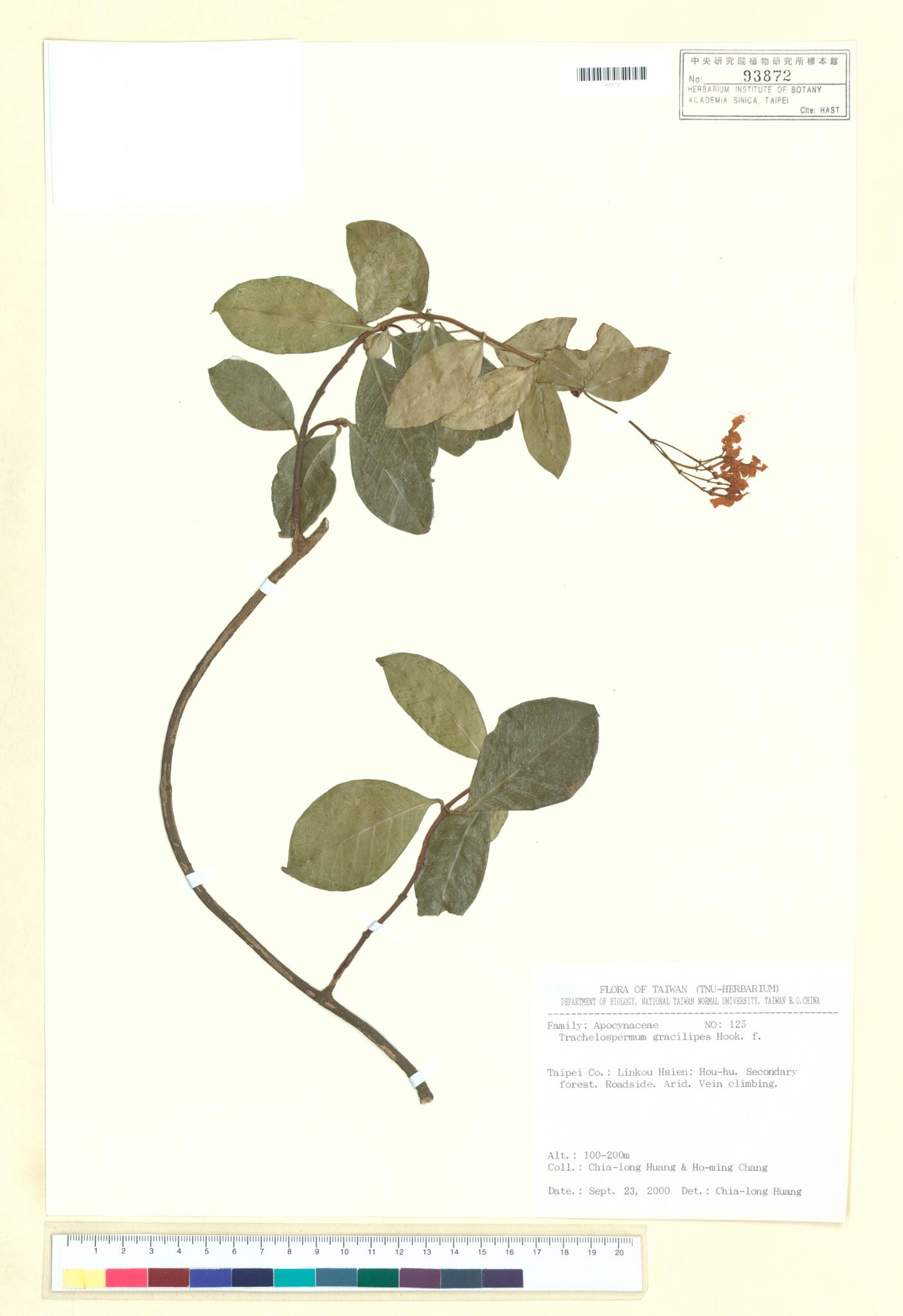 Sample image for viewer