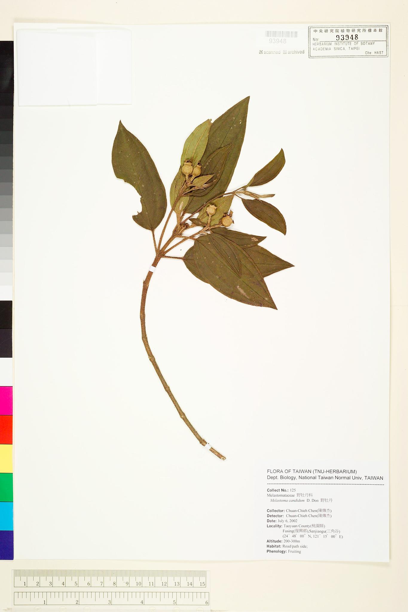 Sample image for viewer