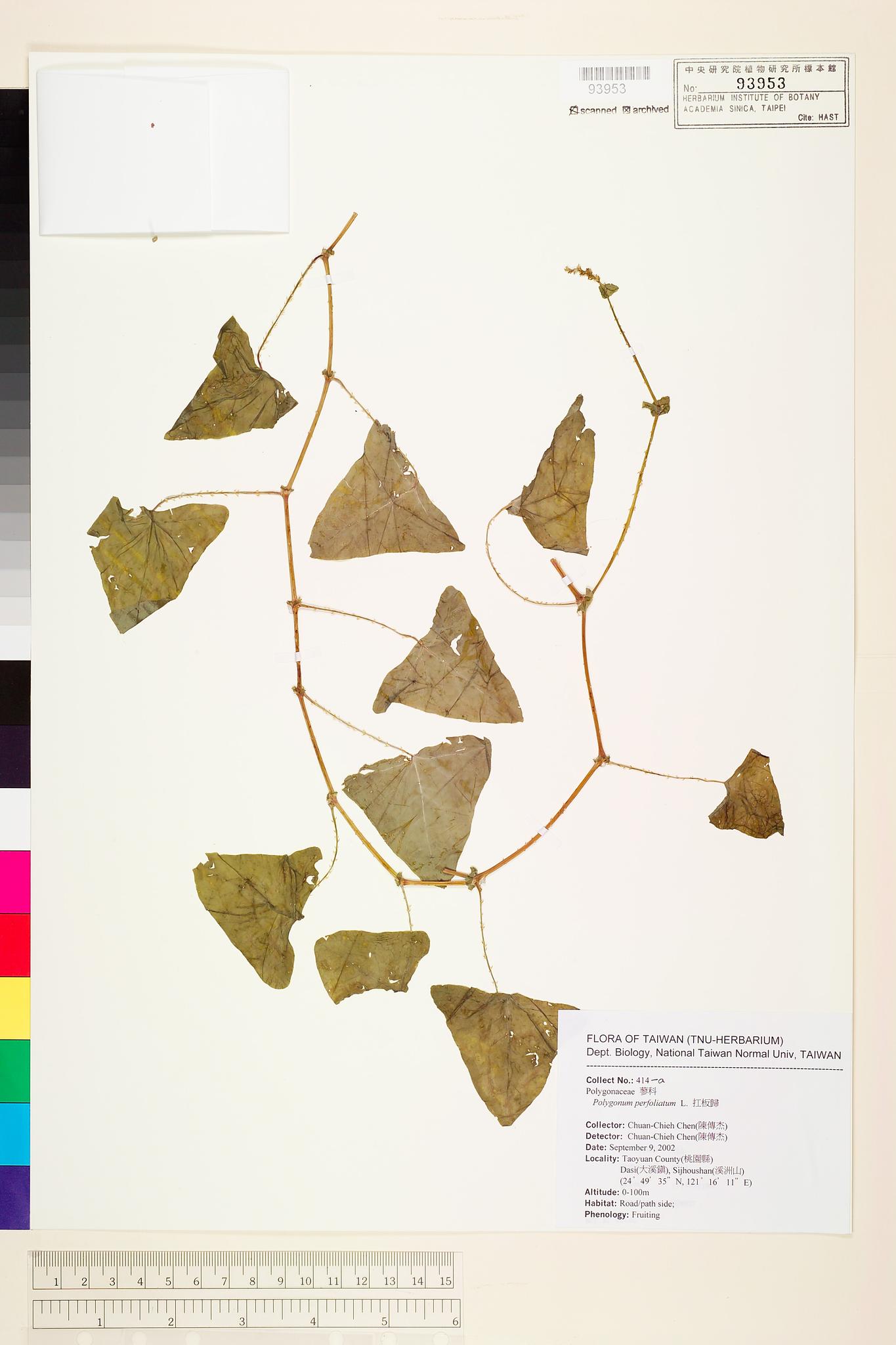 Sample image for viewer