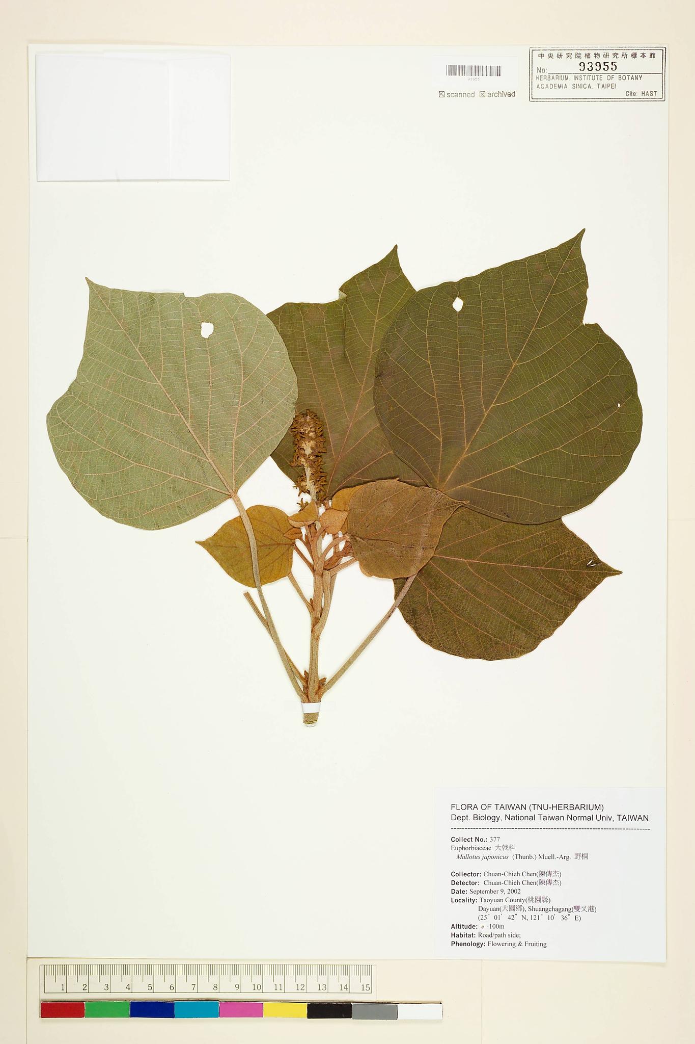 Sample image for viewer