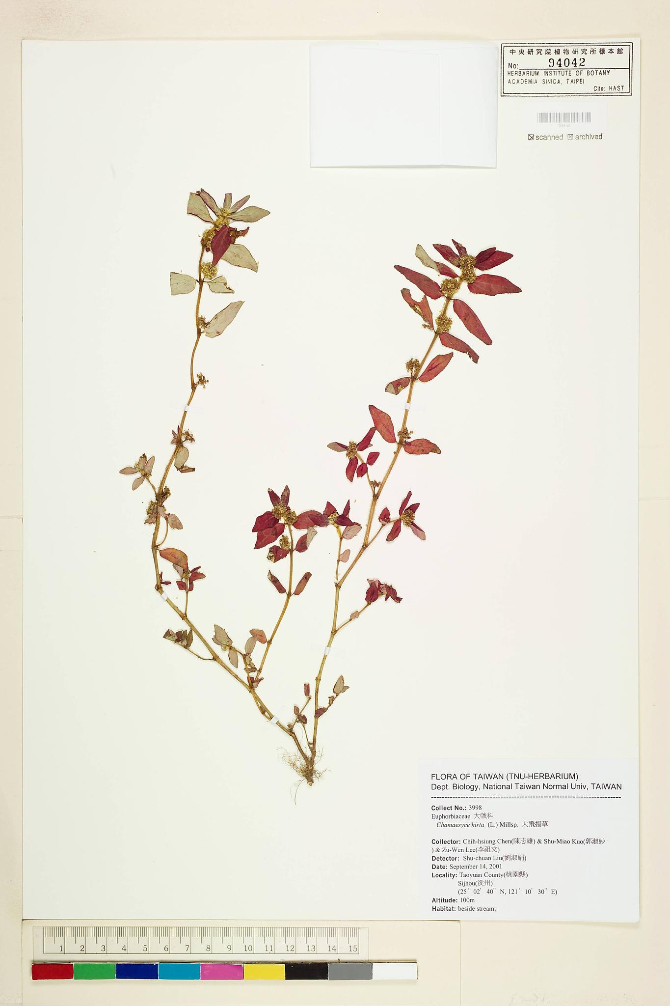 Sample image for viewer