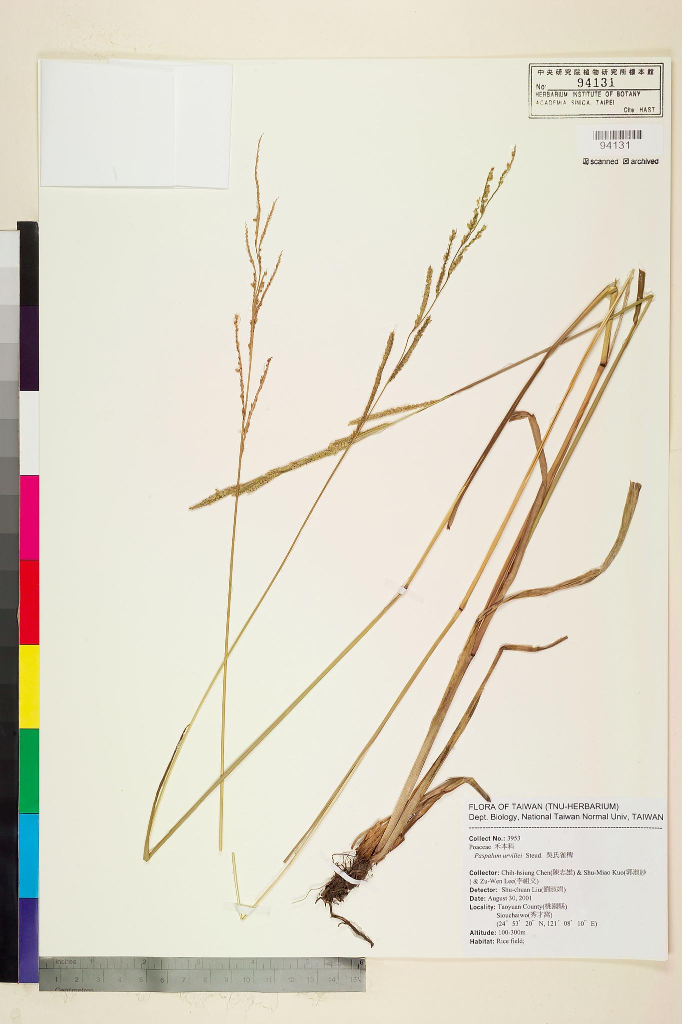 Sample image for viewer