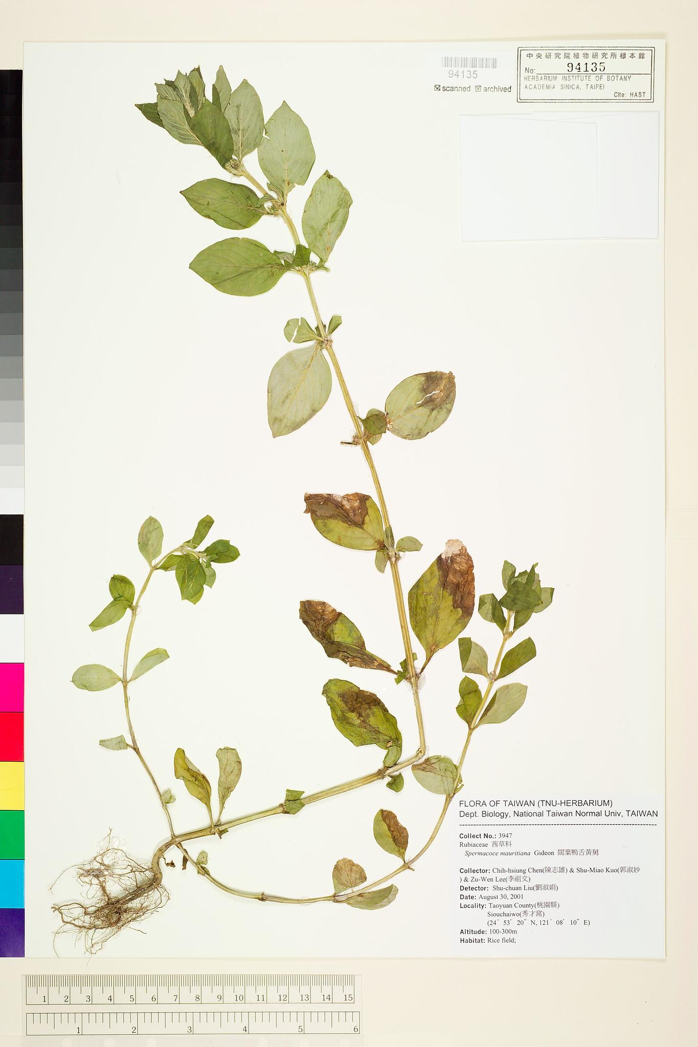 Sample image for viewer