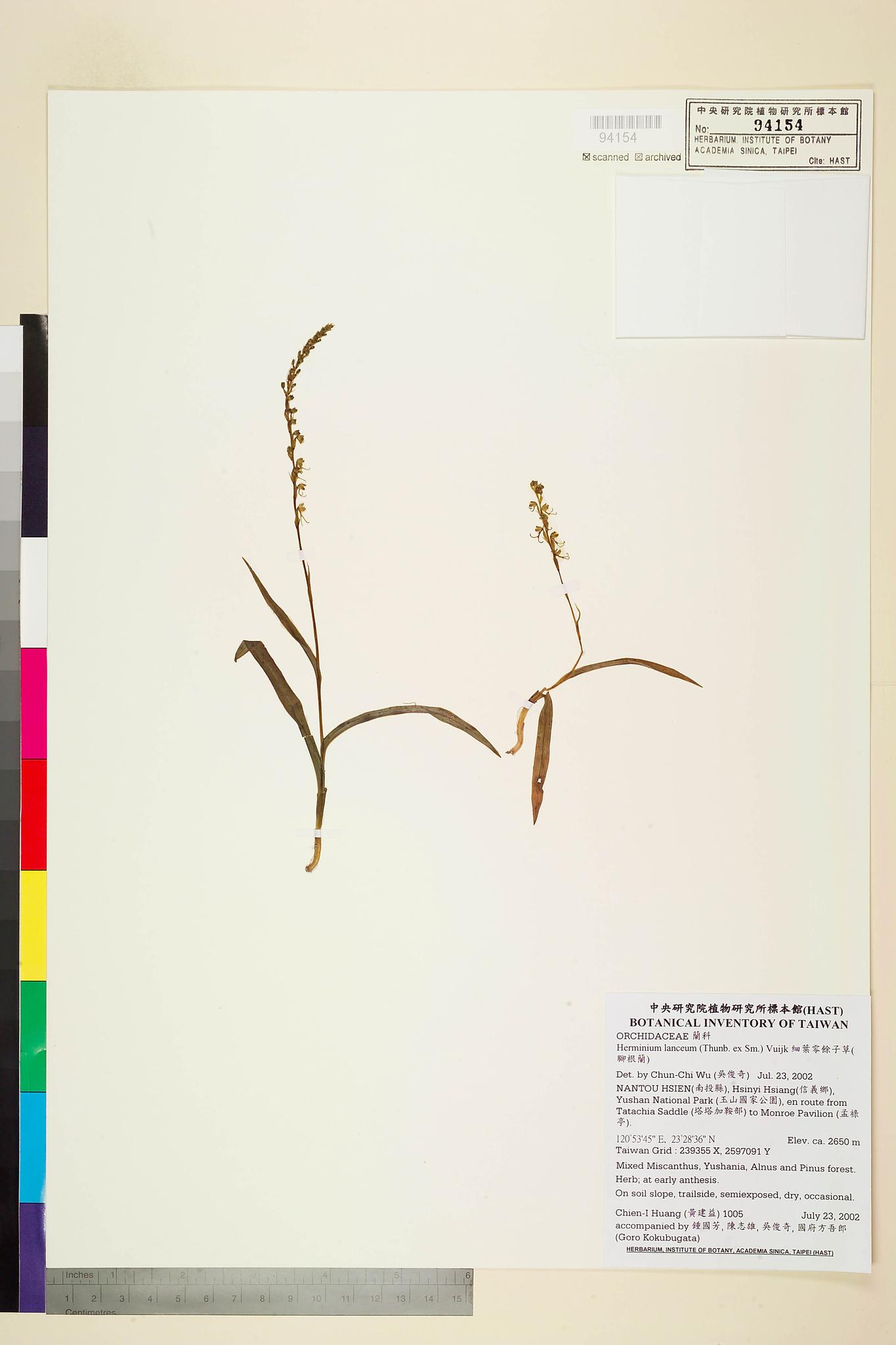 Sample image for viewer