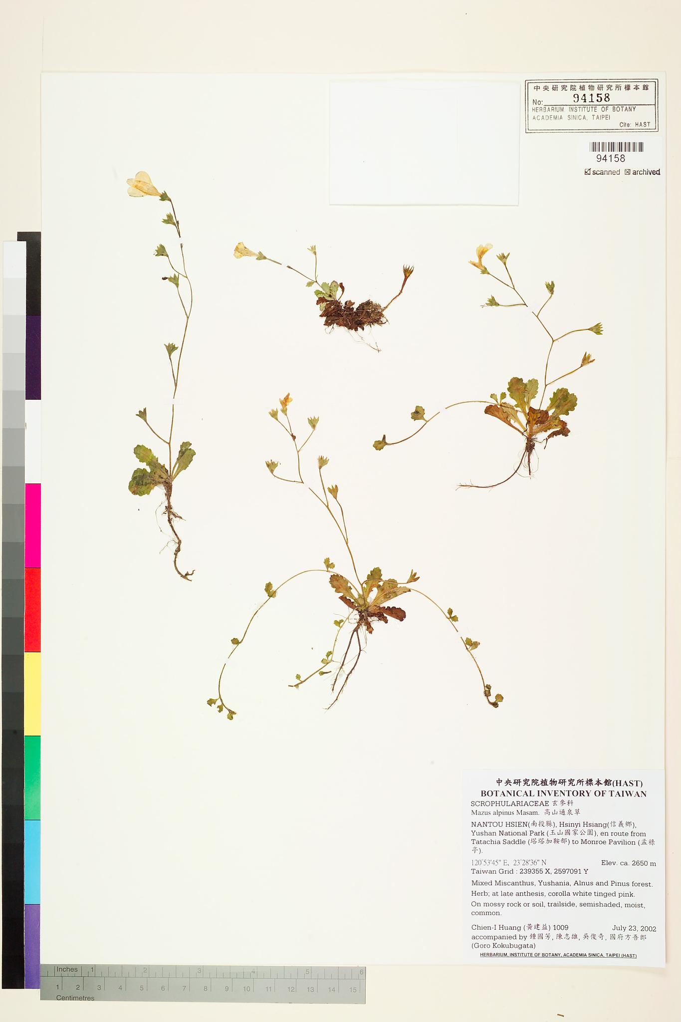 Sample image for viewer