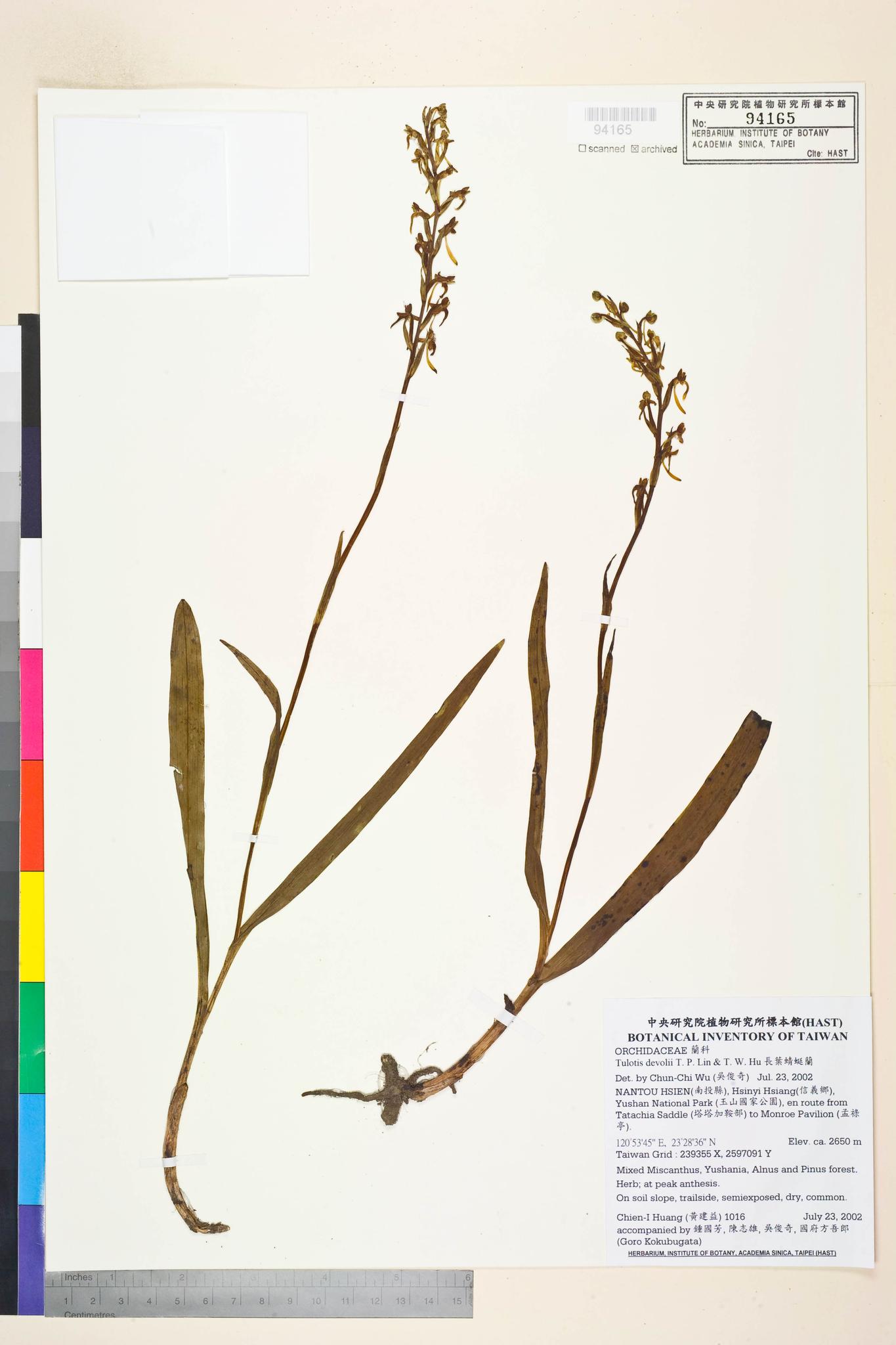 Sample image for viewer