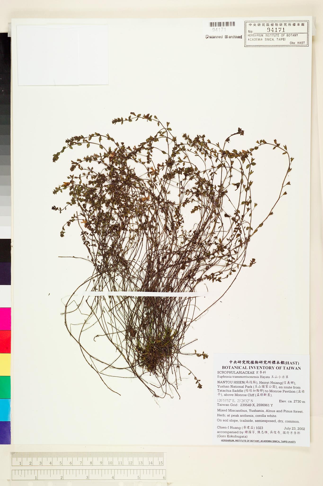 Sample image for viewer