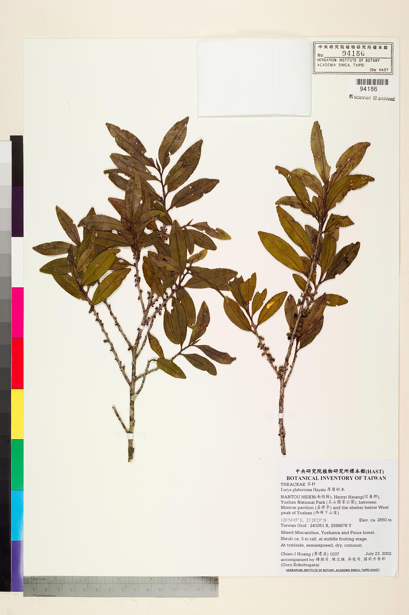 Sample image for viewer