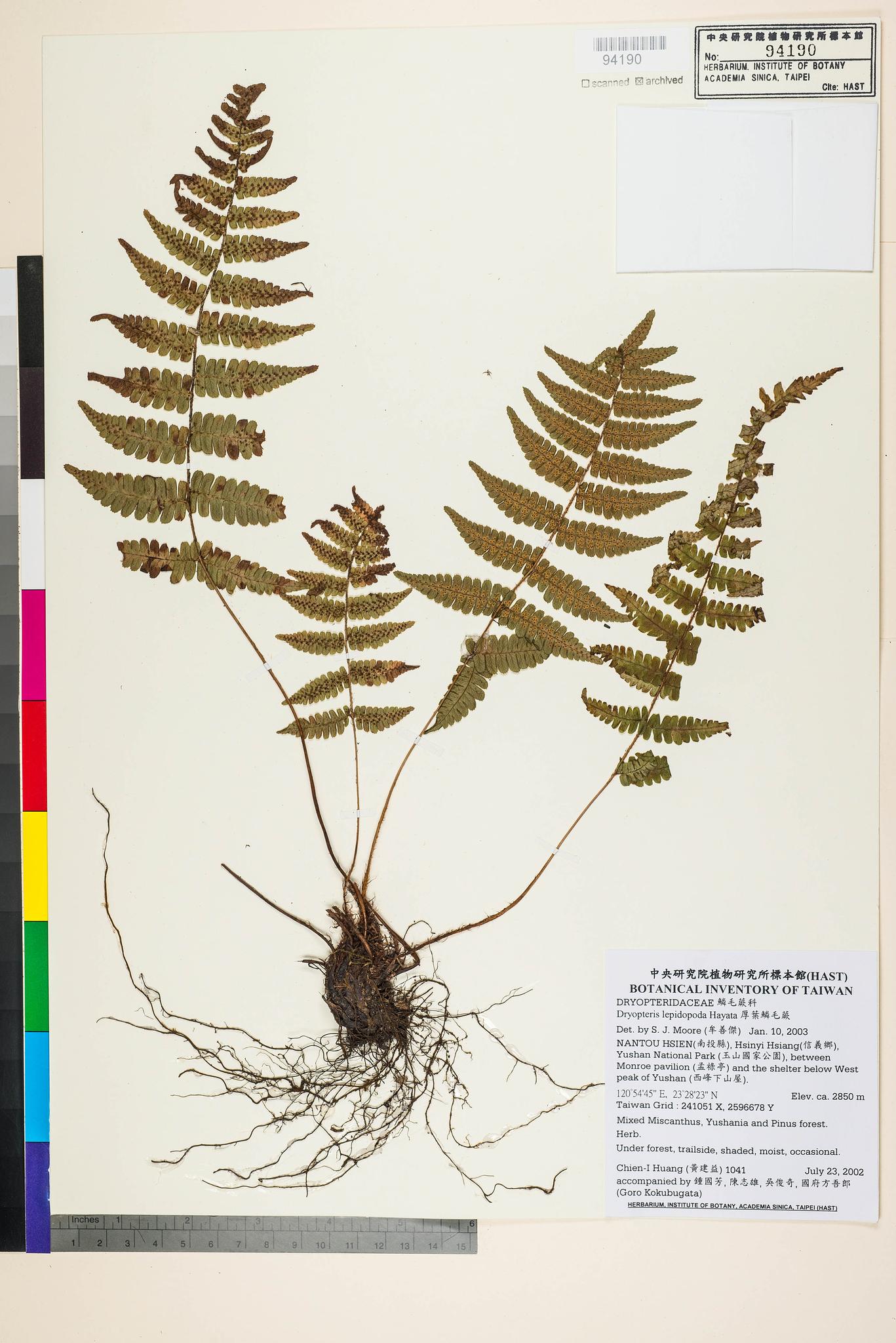 Sample image for viewer