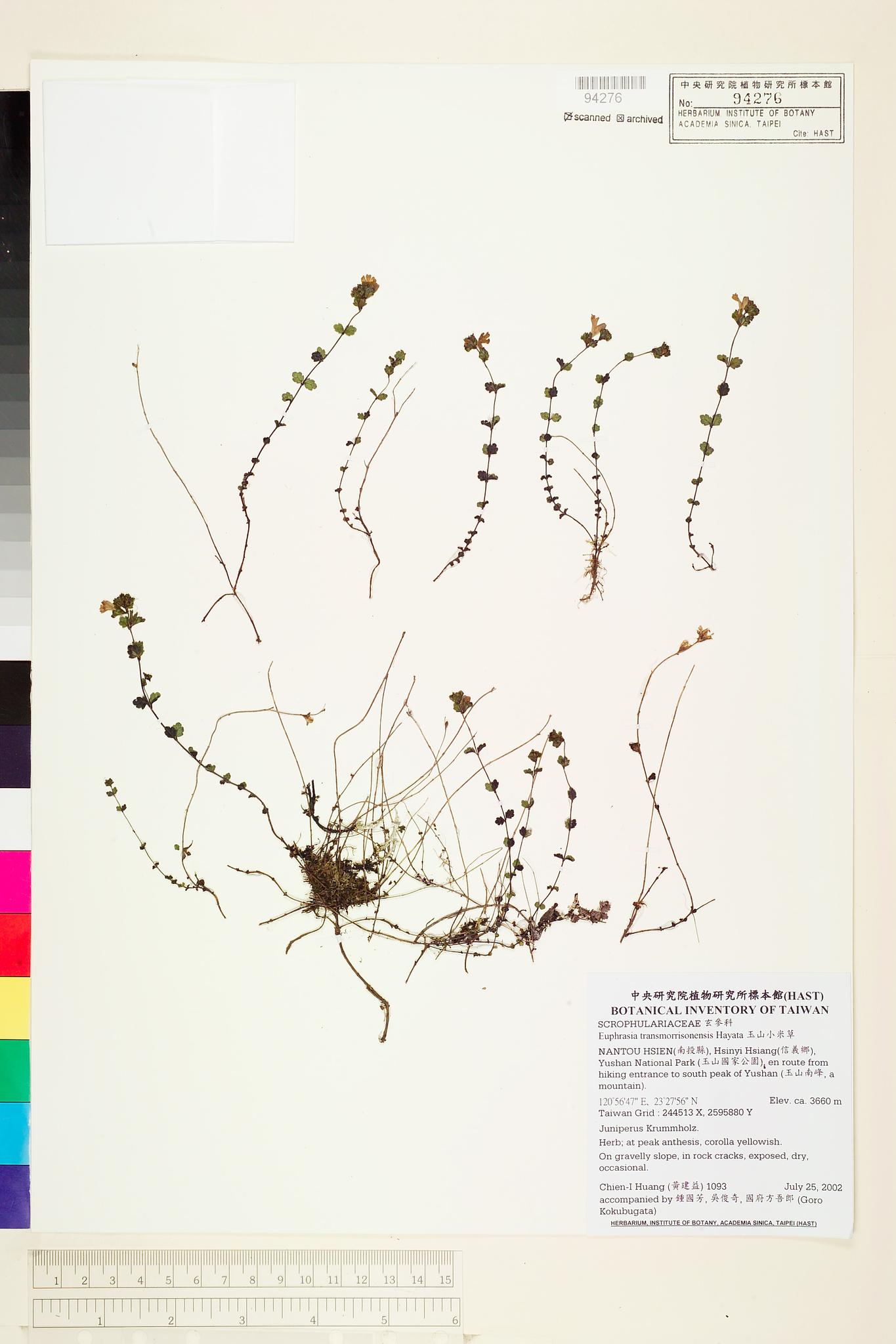 Sample image for viewer