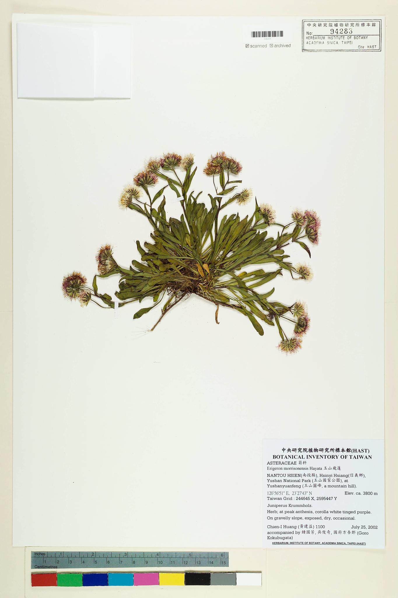 Sample image for viewer