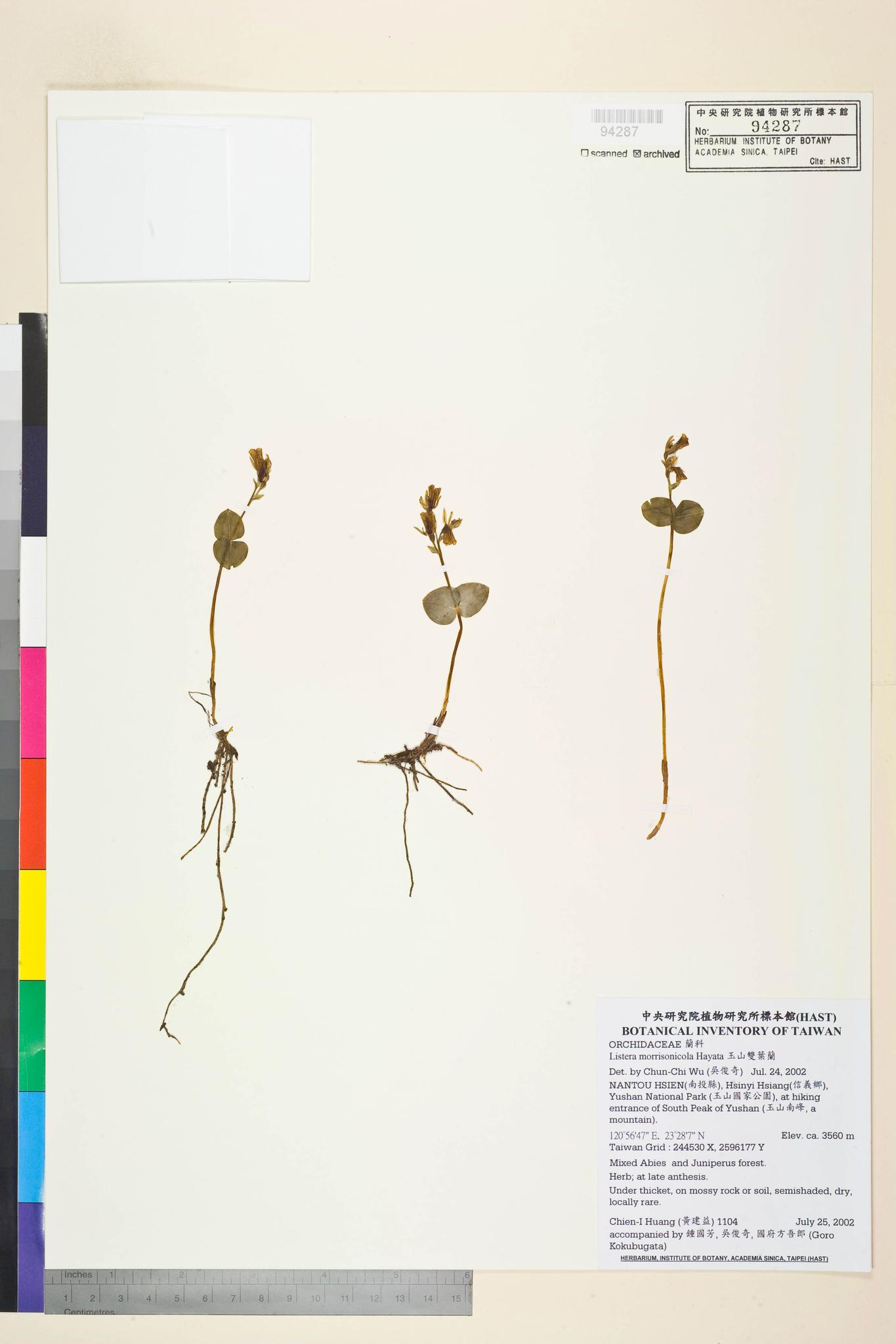 Sample image for viewer