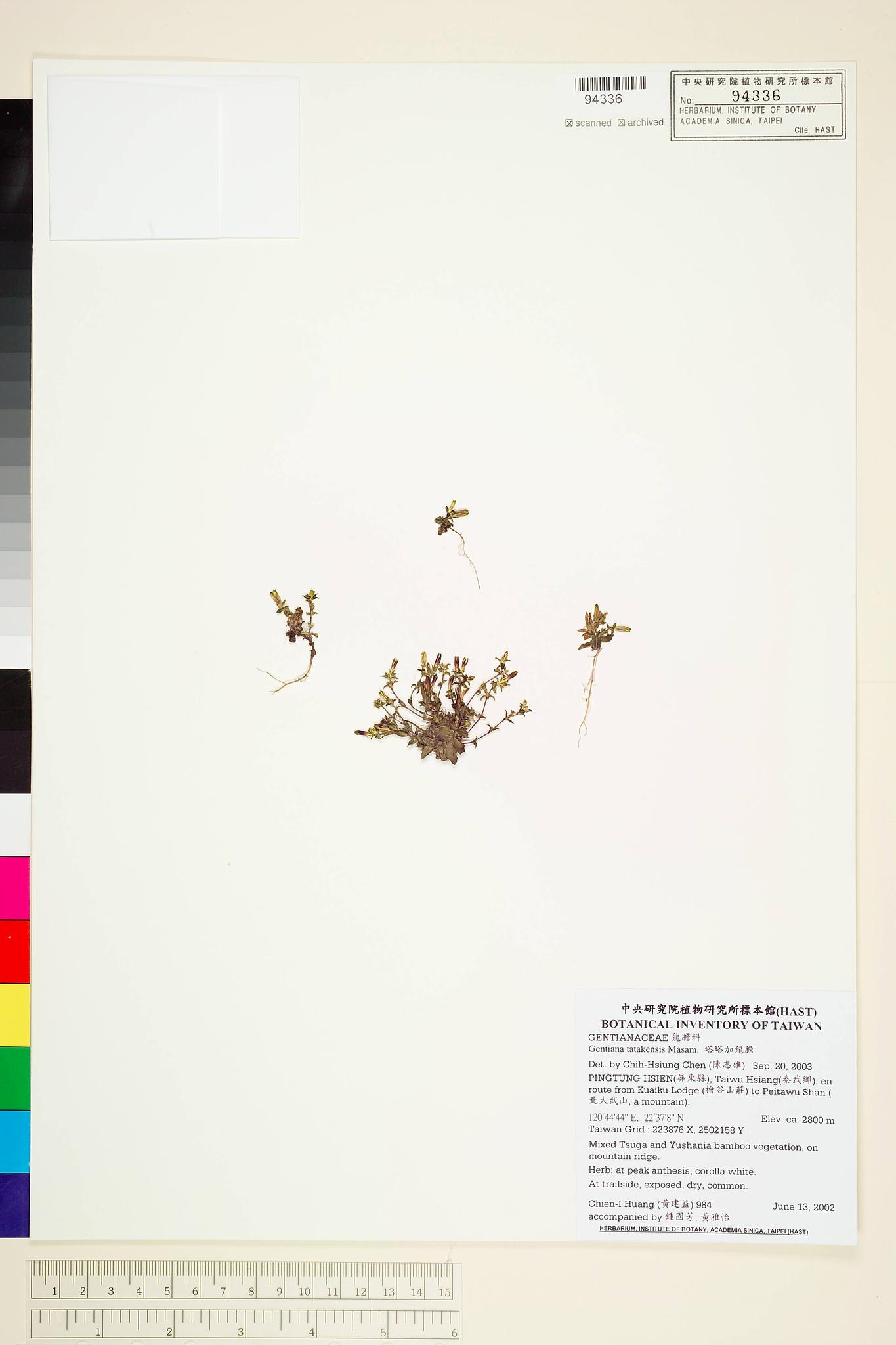 Sample image for viewer