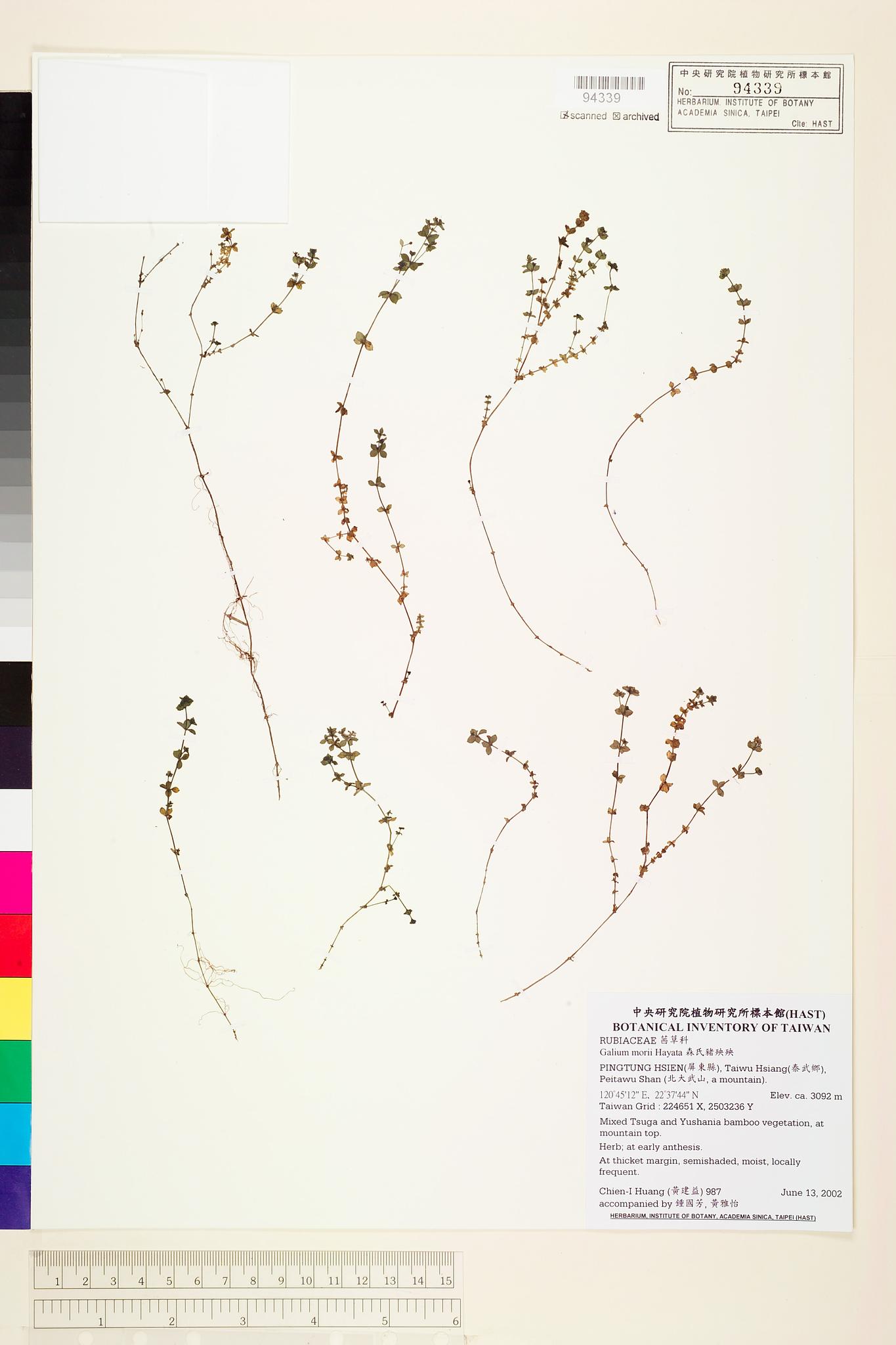 Sample image for viewer