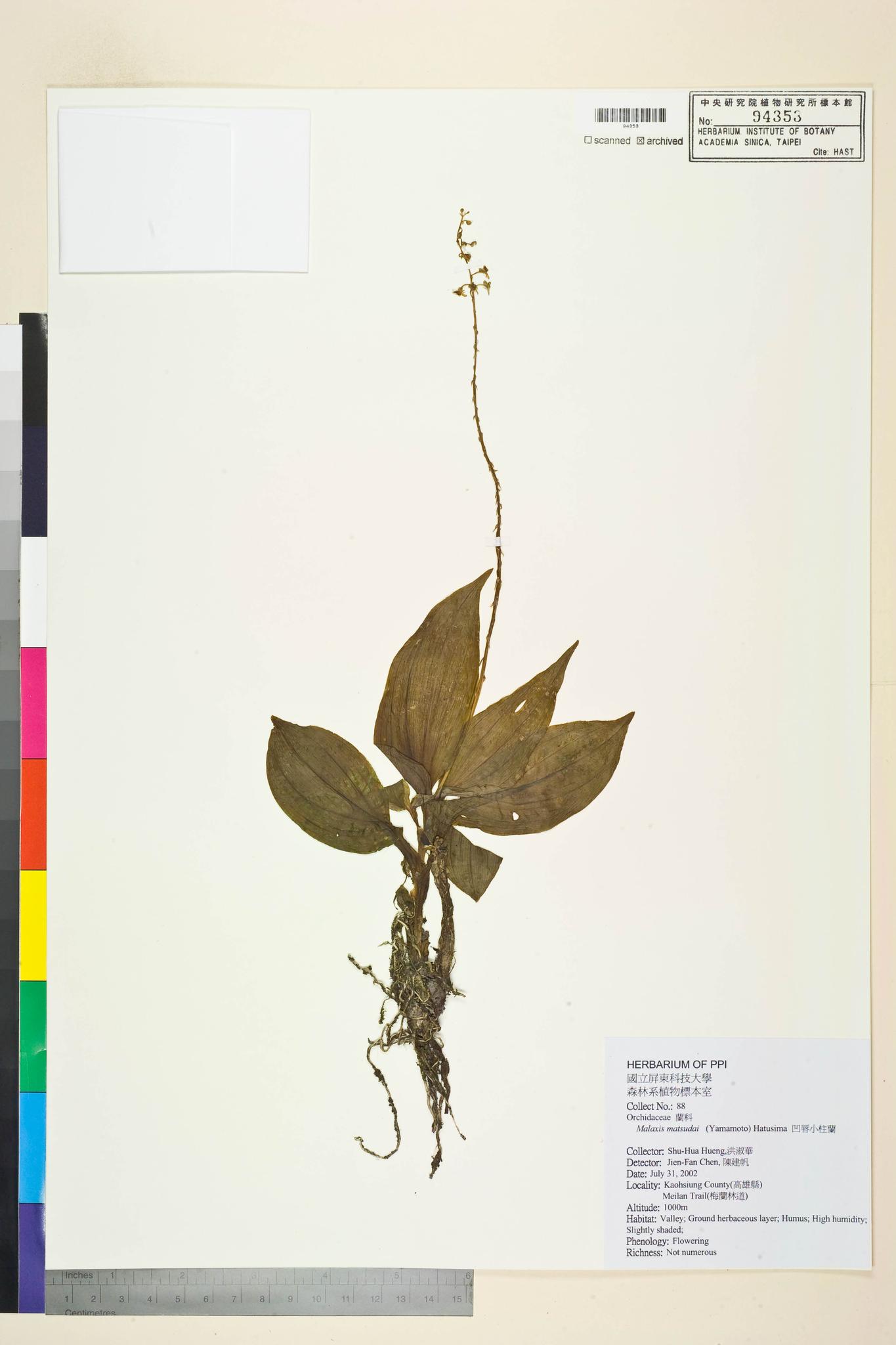 Sample image for viewer